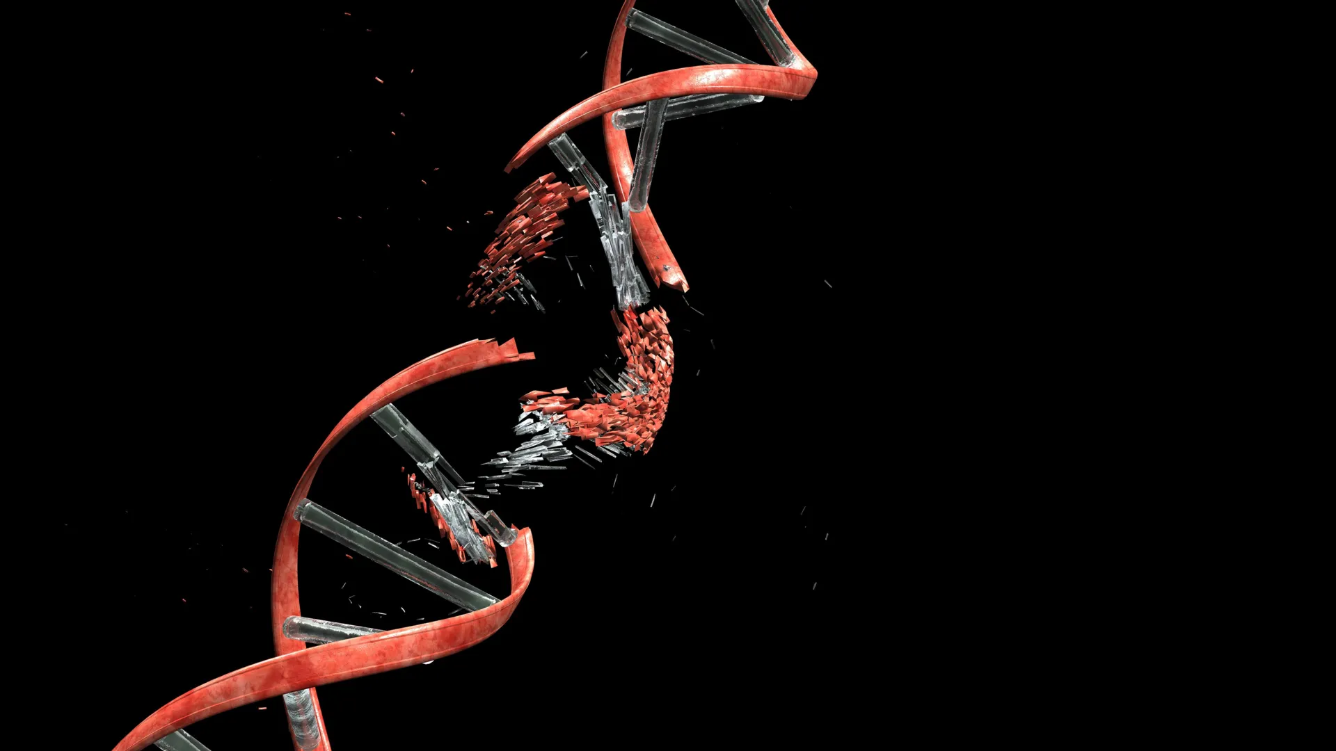Migrating young neurons can fracture and repair their DNA