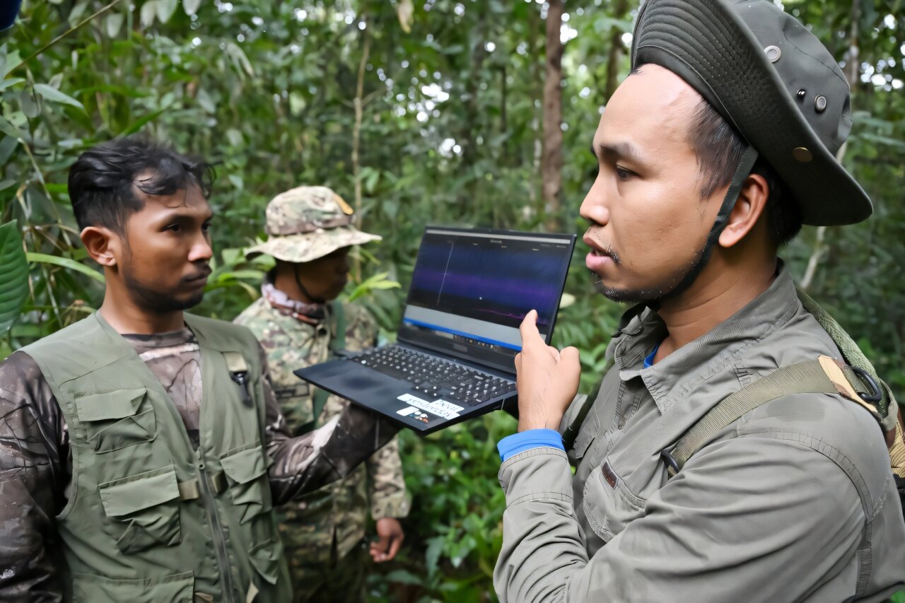 AI and hidden sensors track rare wildlife in Cambodia's Cardamoms