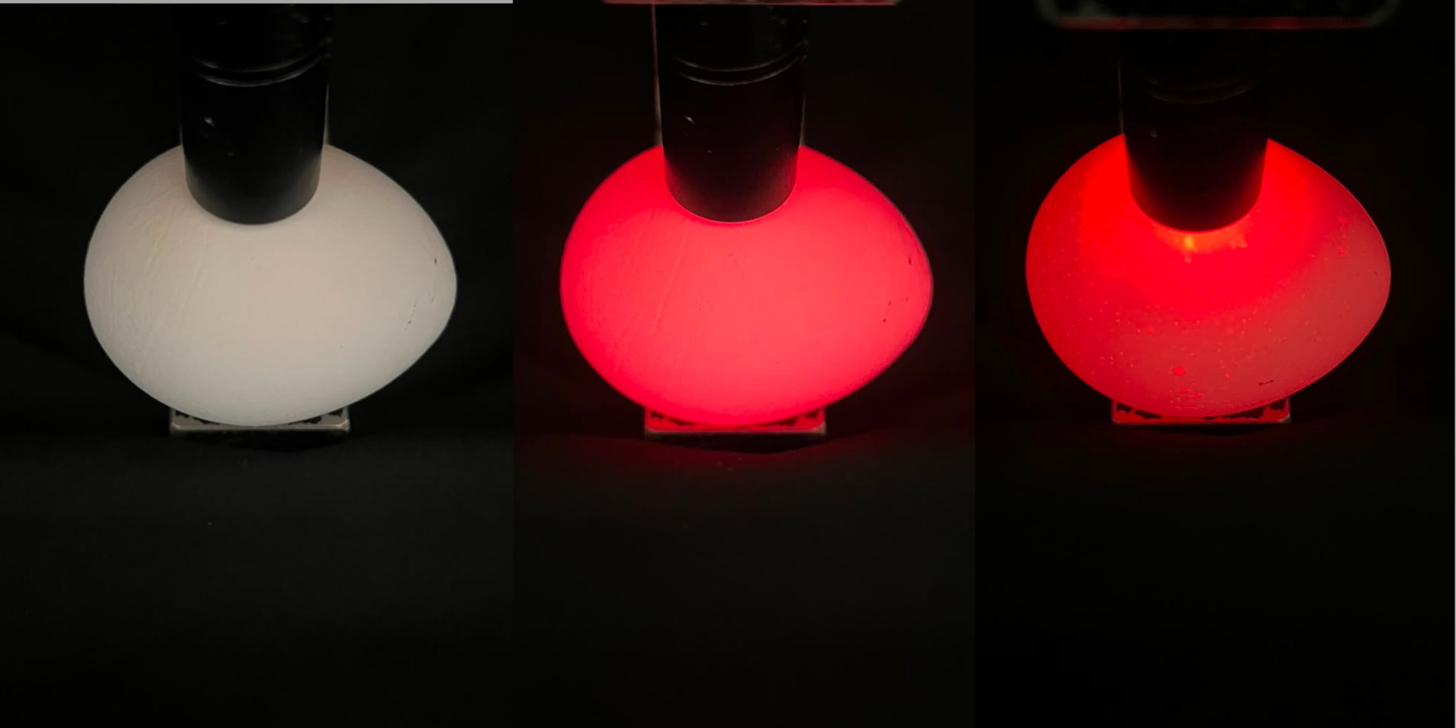 Light-scanning egg study could help hatcheries identify male embryos