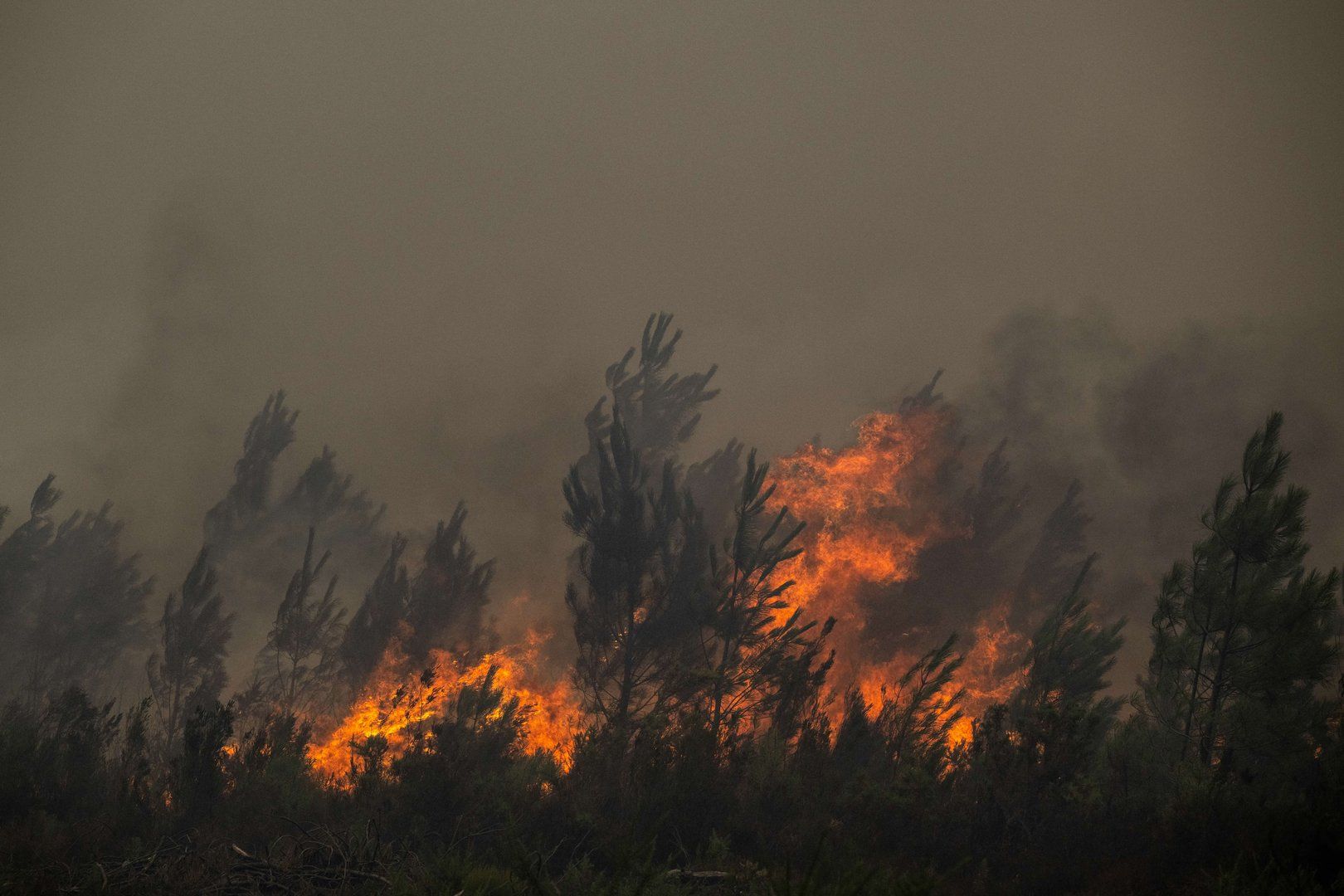 Bordeaux wildfires evacuation reaches about 200,000 people