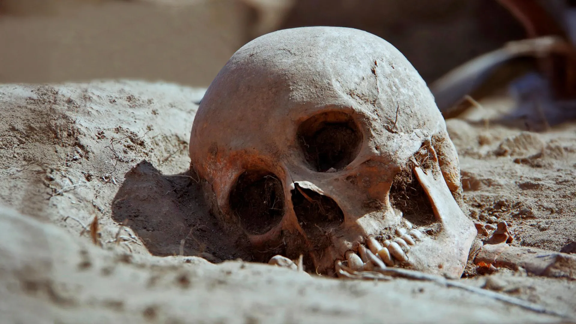 Plague found in Siberian hunter-gatherers 5,500 years ago