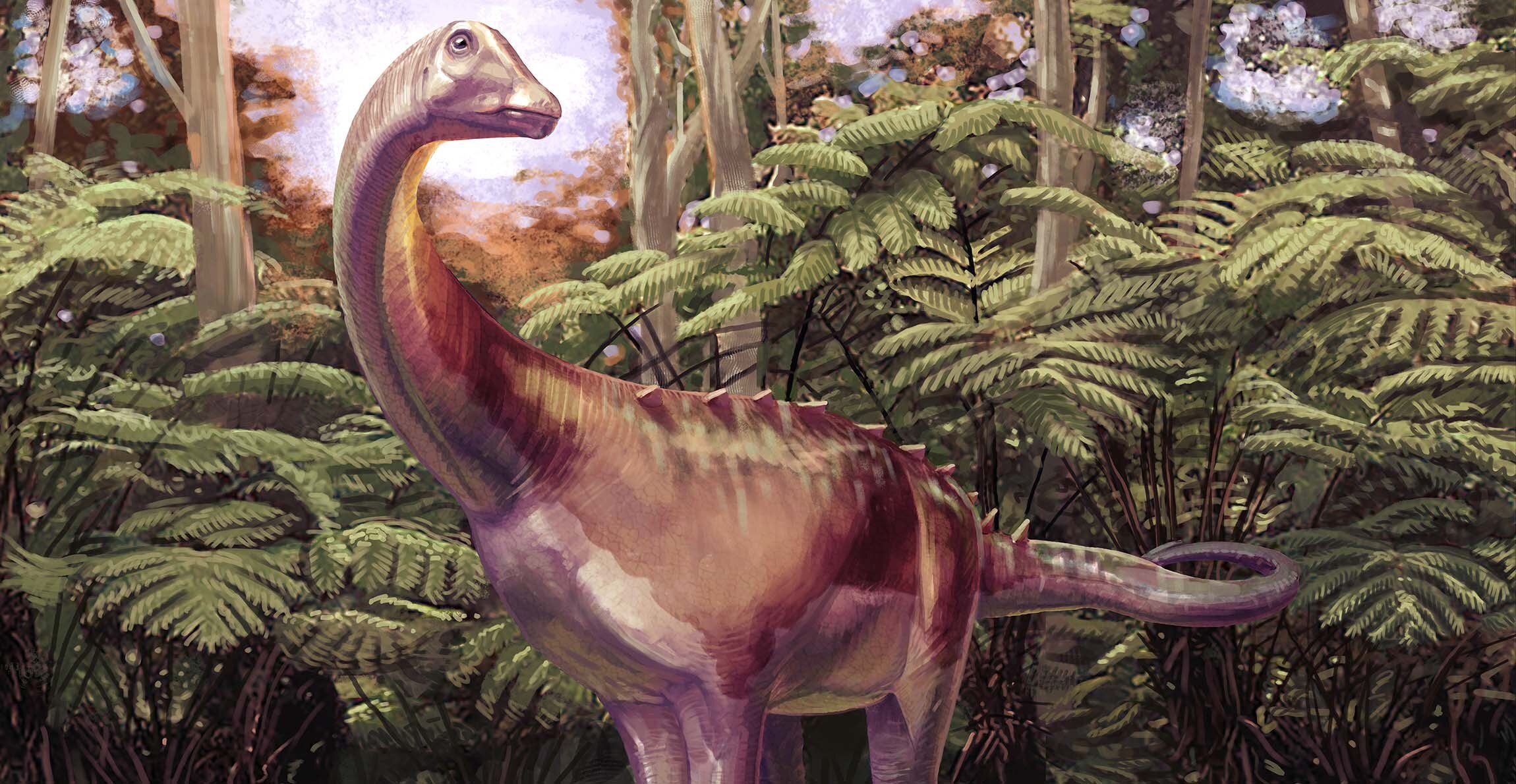 Antarctic vertebra is identified as continent’s first dinosaur fossil