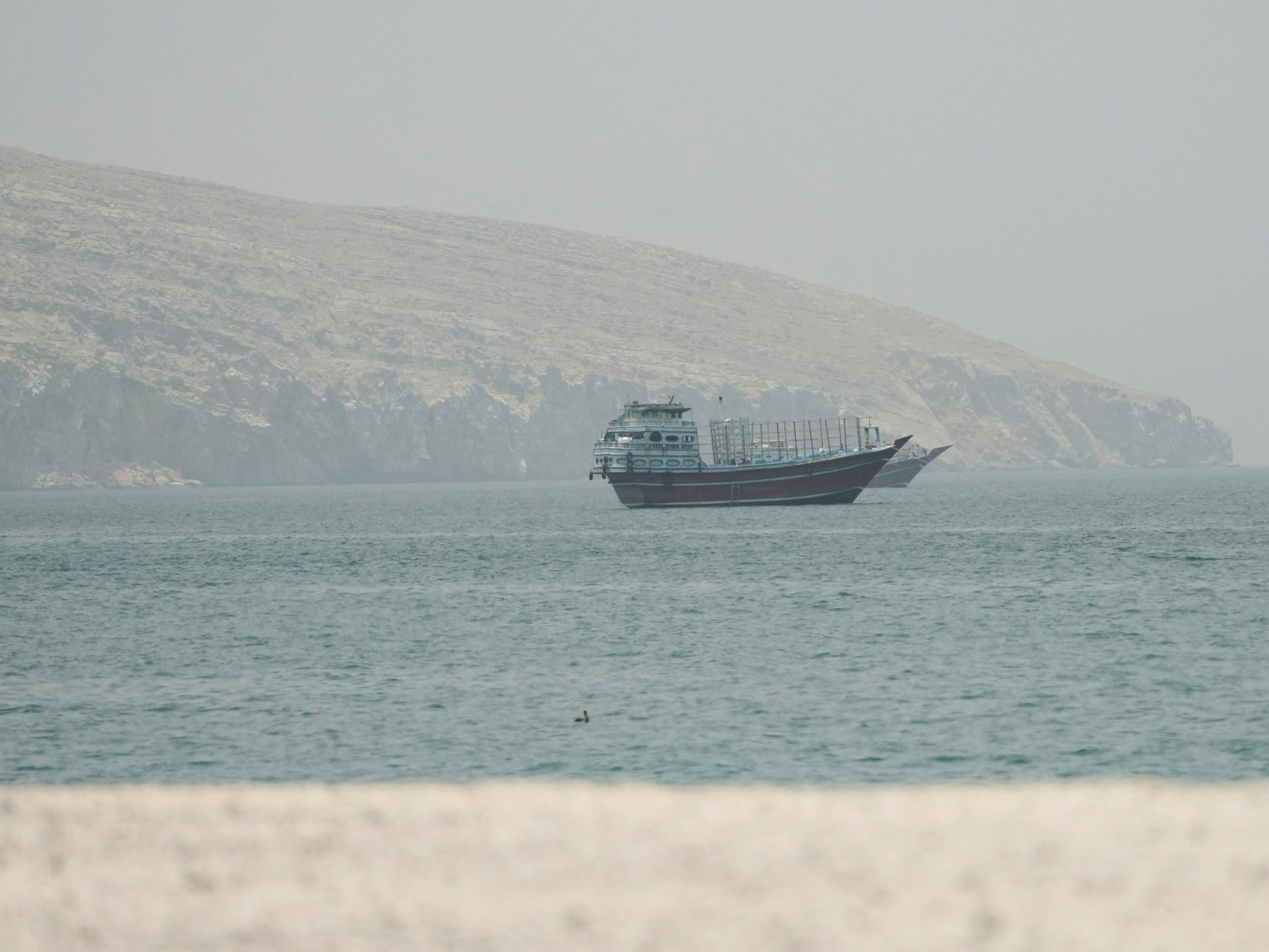 UN maritime agency halts Hormuz evacuation plan after ship strike