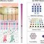 Researchers map AI electronic nose built on metal-organic frameworks