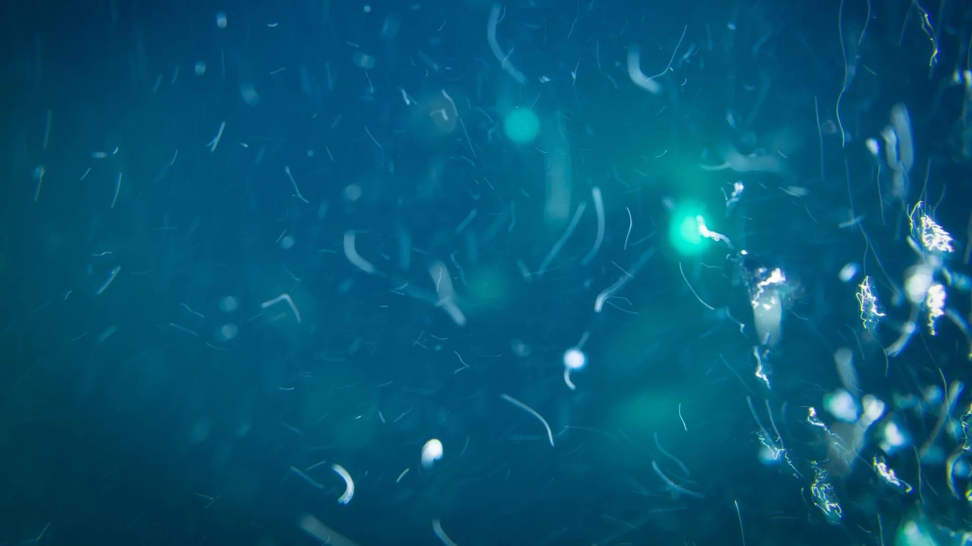 Deep ocean pressure may feed microbes by squeezing marine snow