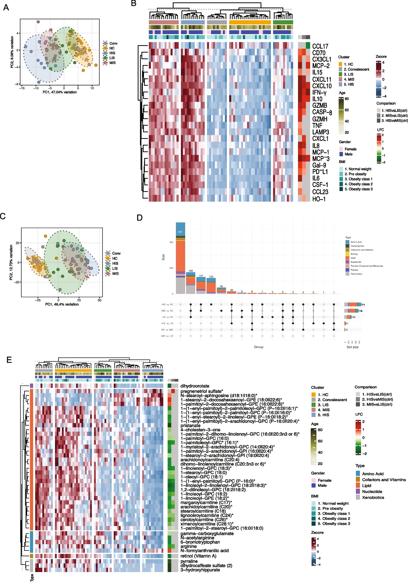 Severe Covid-19 study links immune differences to metabolism