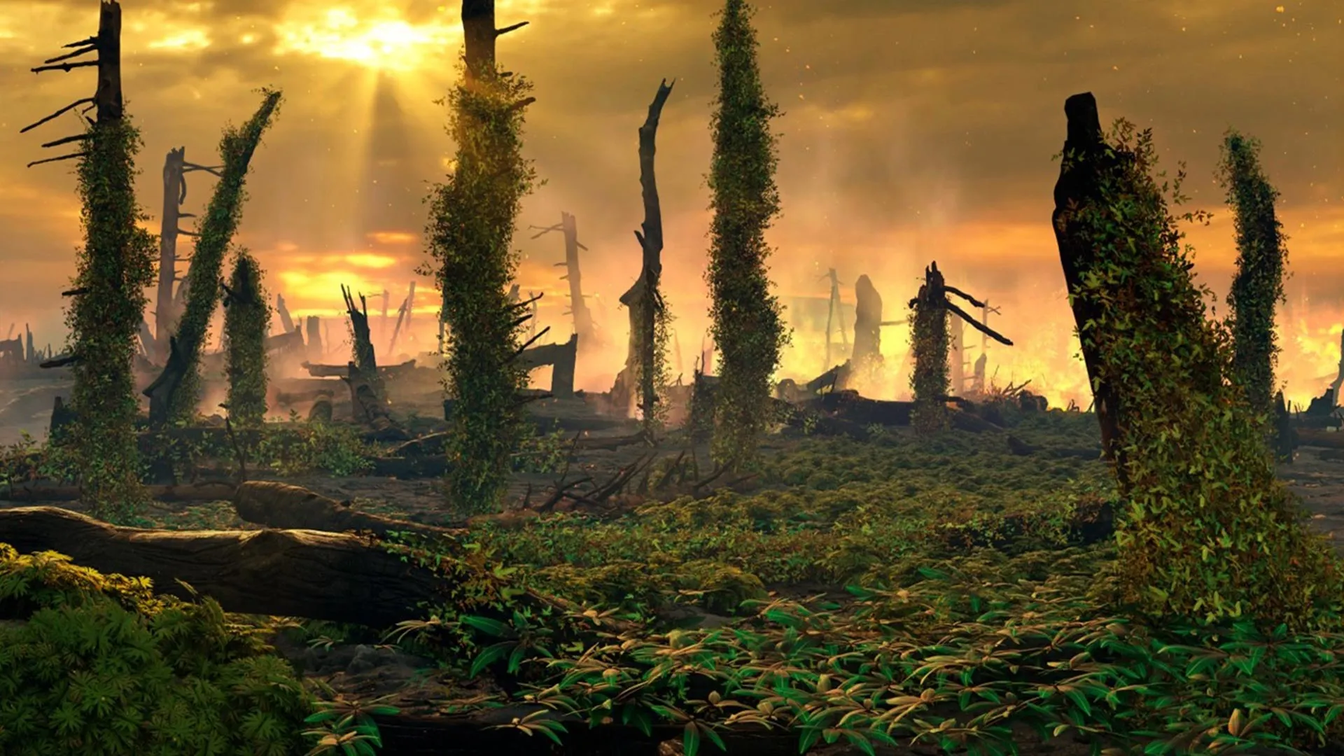 Fossil study links Triassic fern spread to repeated European fires