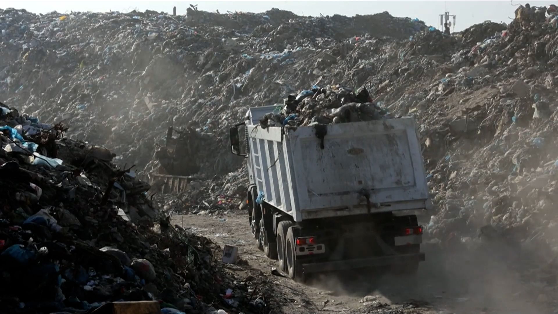 Rats and sewage deepen health risks in Gaza displacement camps