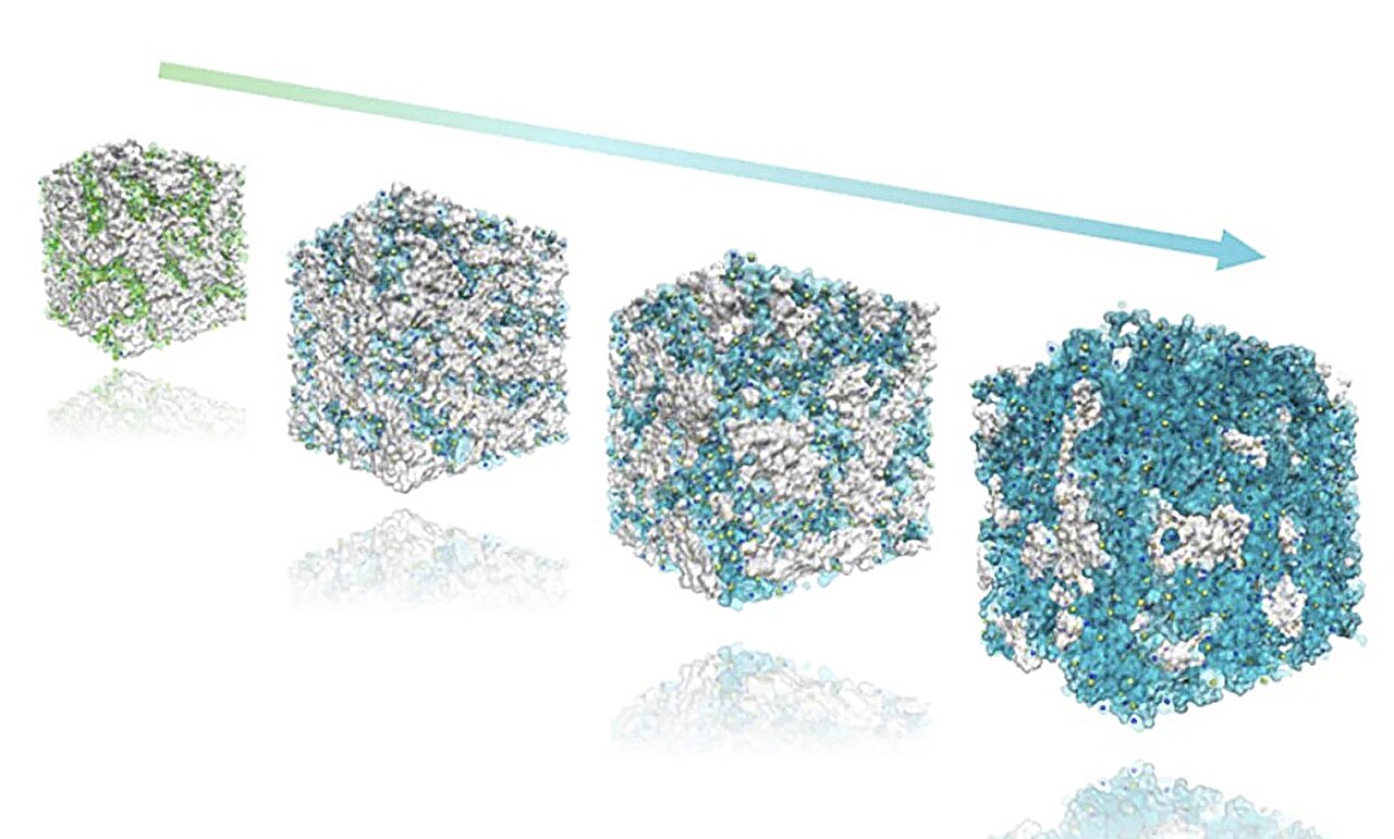 Ion transport membrane design gains a water-level guide
