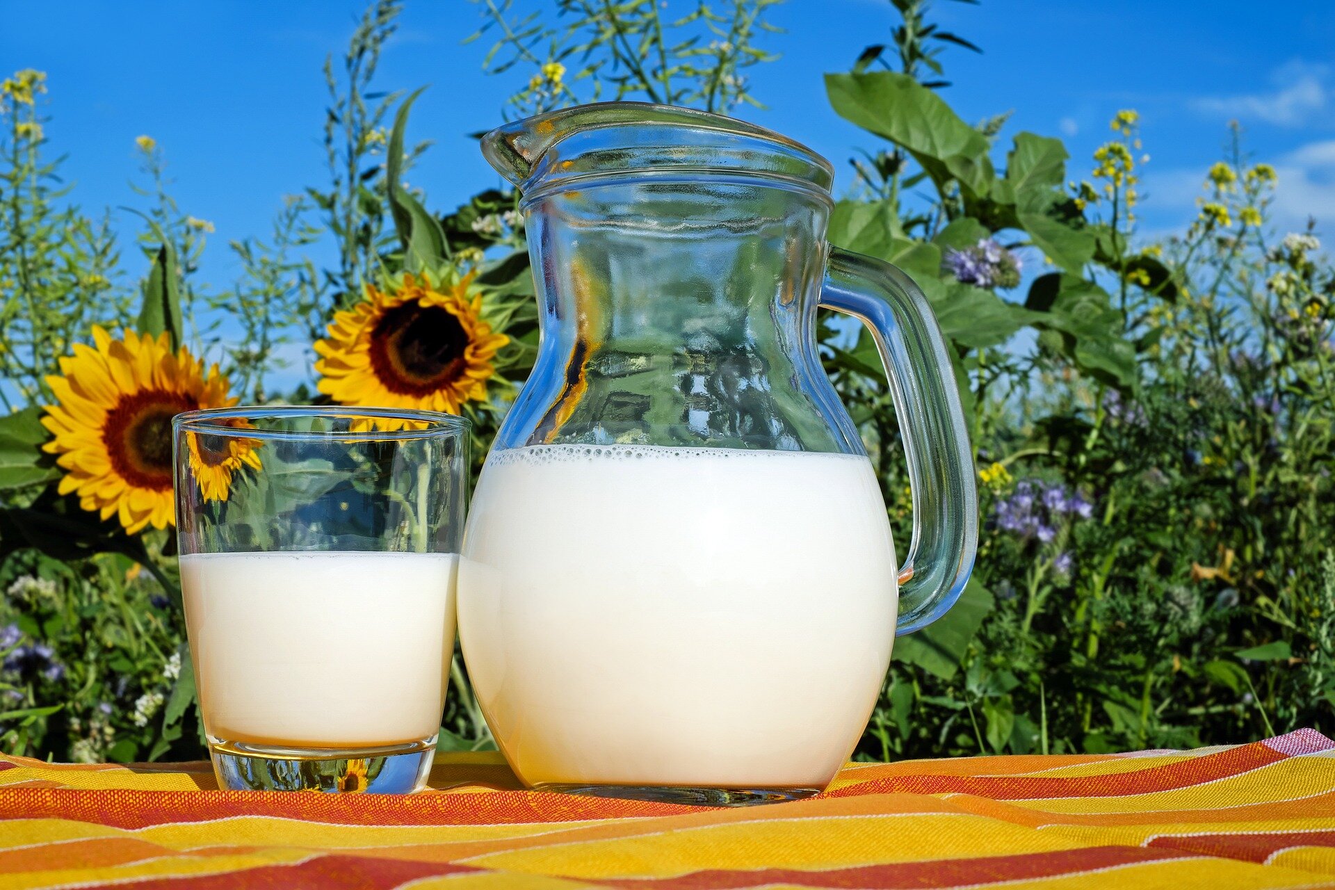 Organic grass-fed milk shows higher omega-3 levels in yearlong study