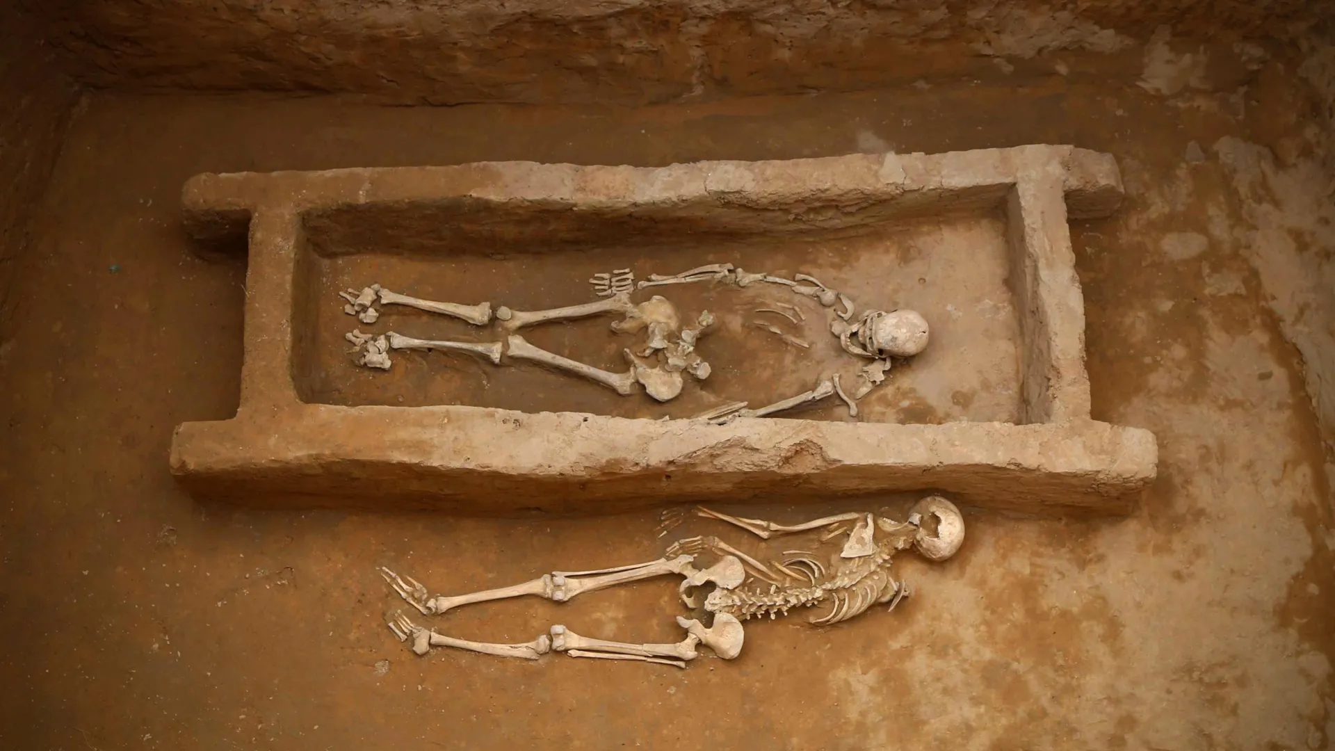 DNA study maps kinship and sacrifice at ancient Shimao city