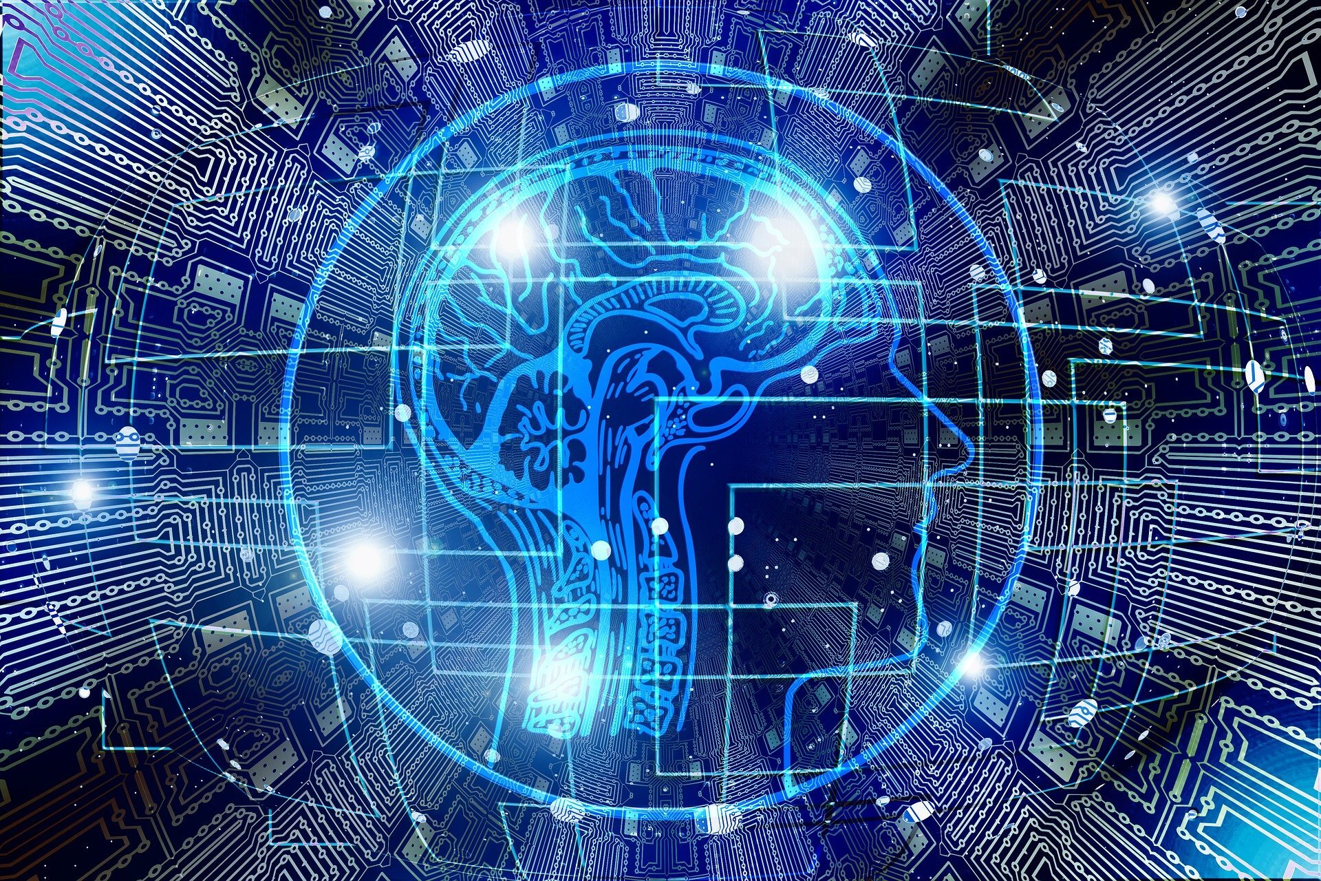 Light-reward study points to a brain route for learning new skills