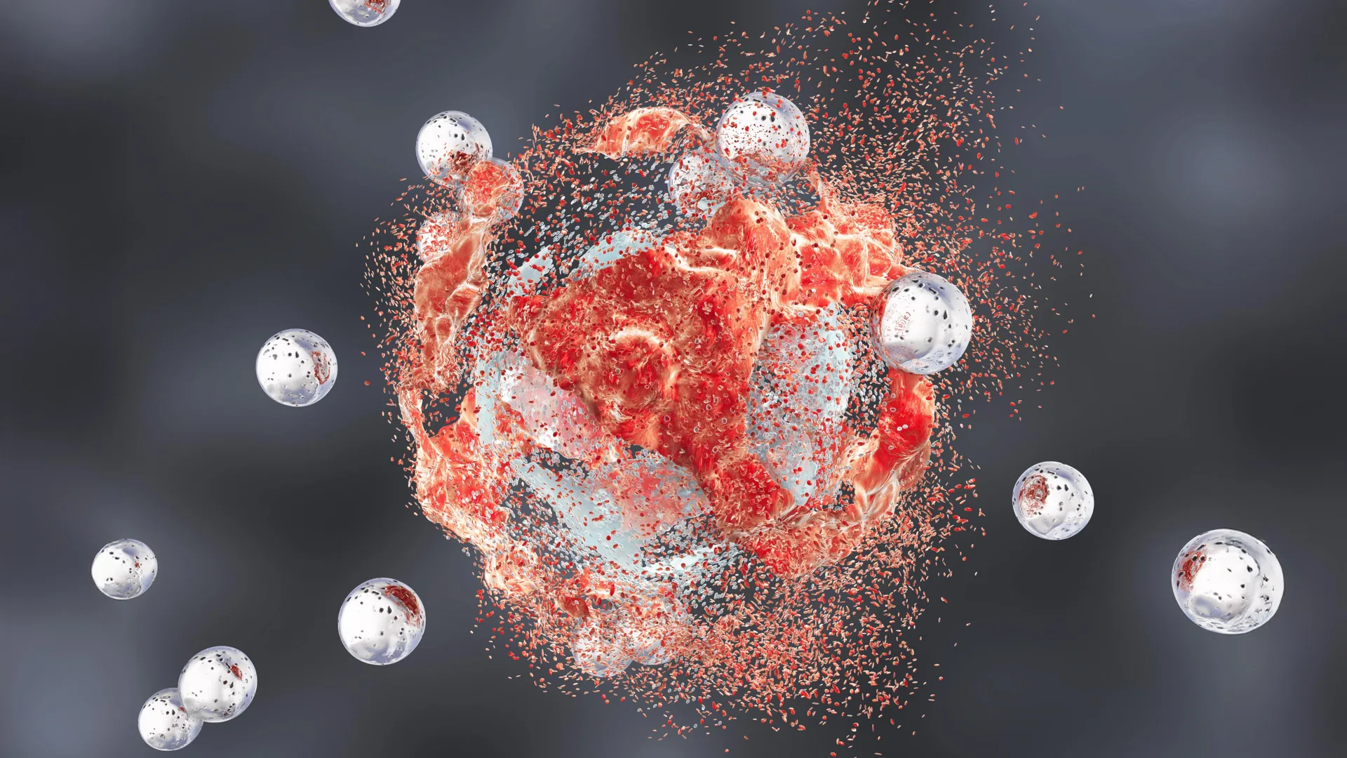 Silica nanoparticles clear prostate tumors in some mice
