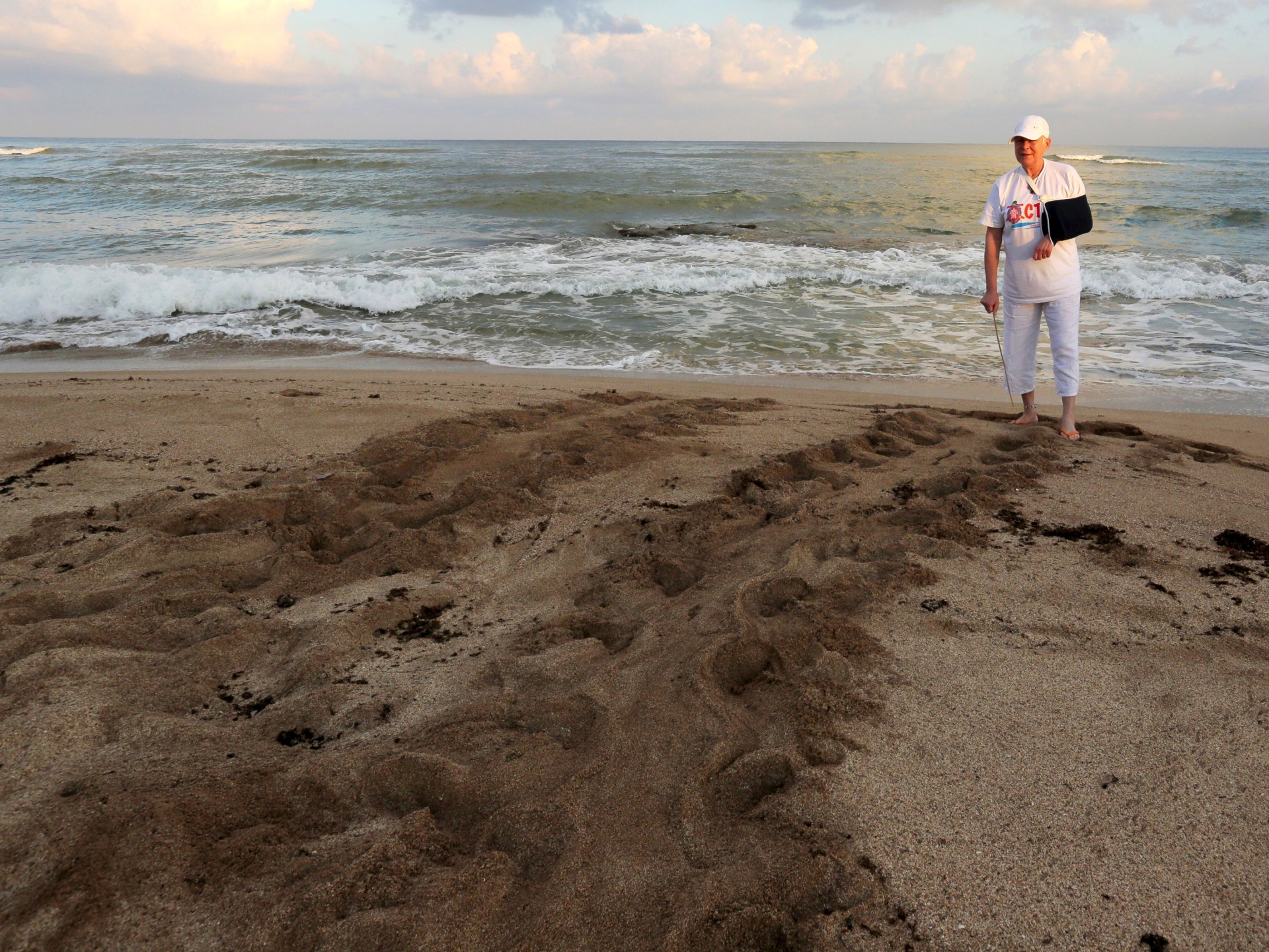 Mourners honor Lebanese sea turtle advocate who died after Israeli strike