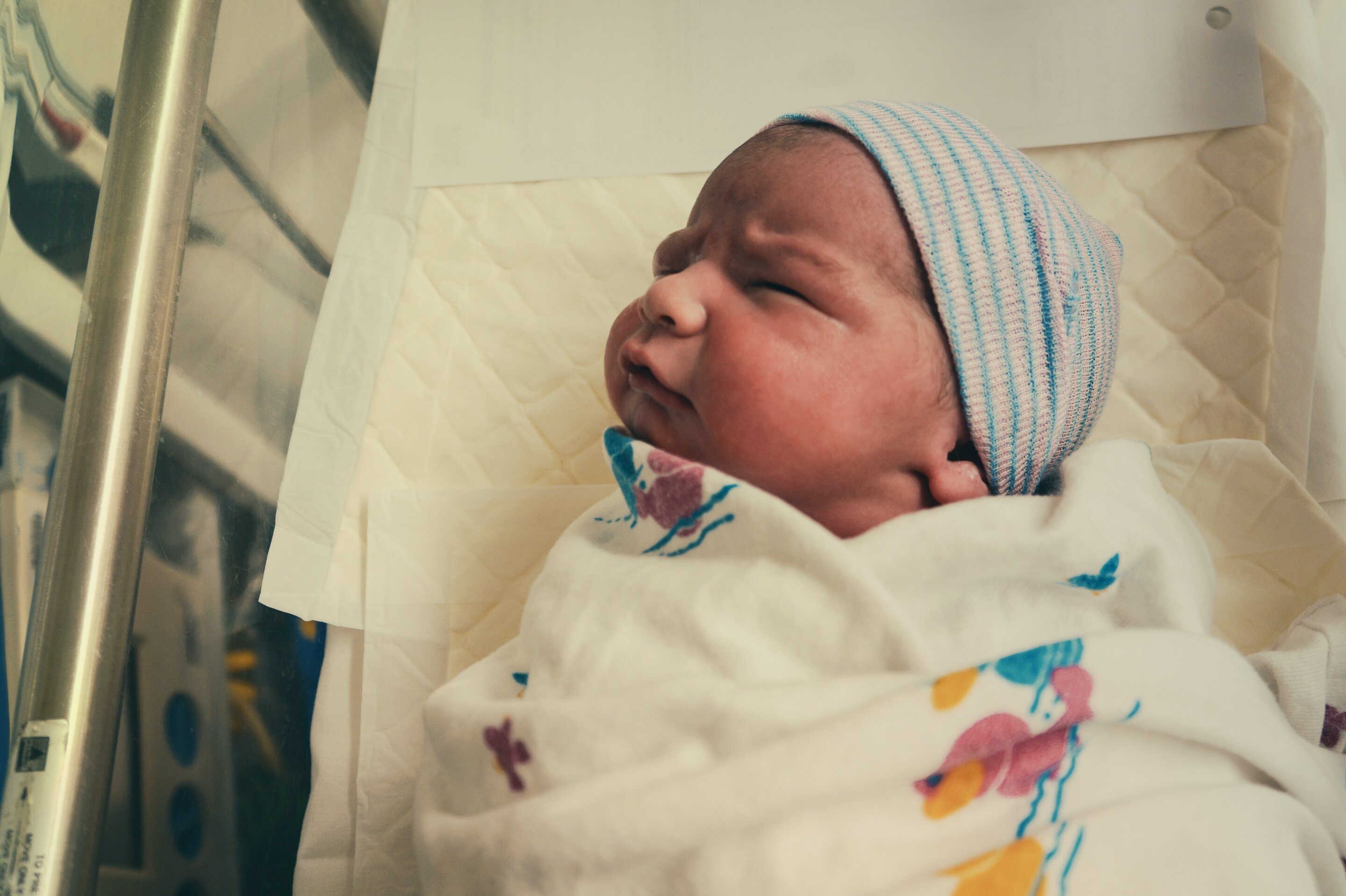 Baby microbiome at birth may begin with maternal gut bacteria