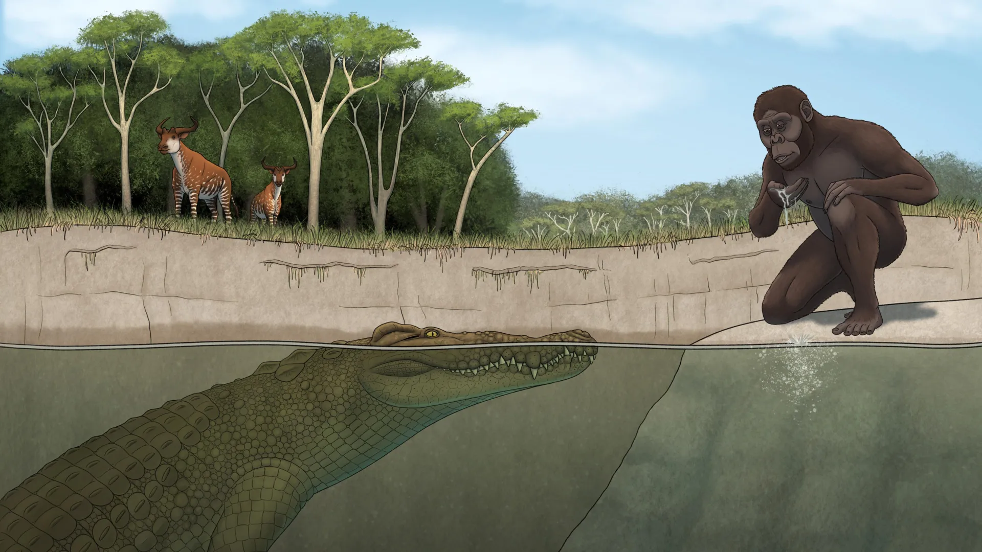 New fossil crocodile species linked to Lucy’s Ethiopian world