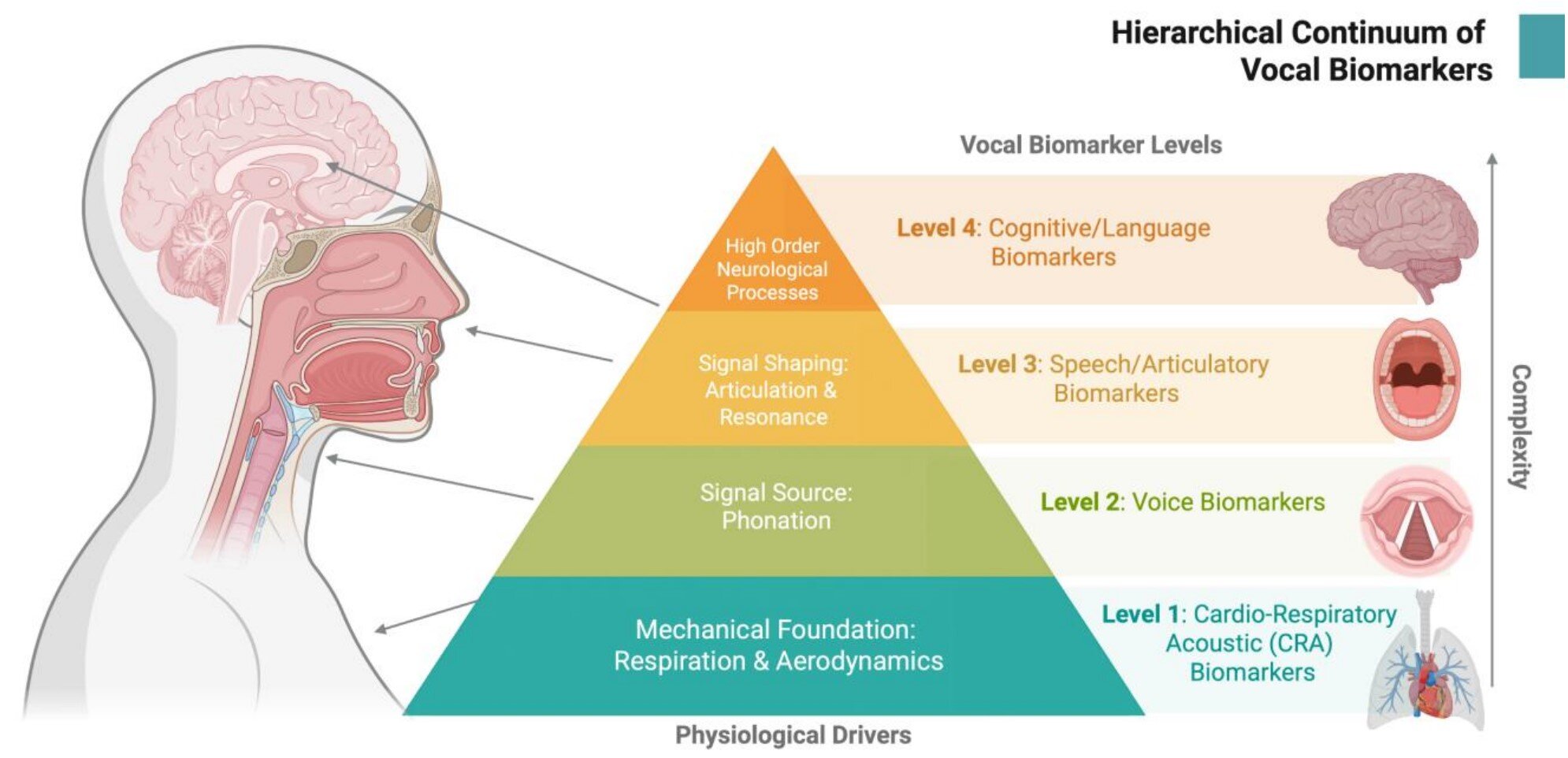 Vocal biomarker standards set by international expert group