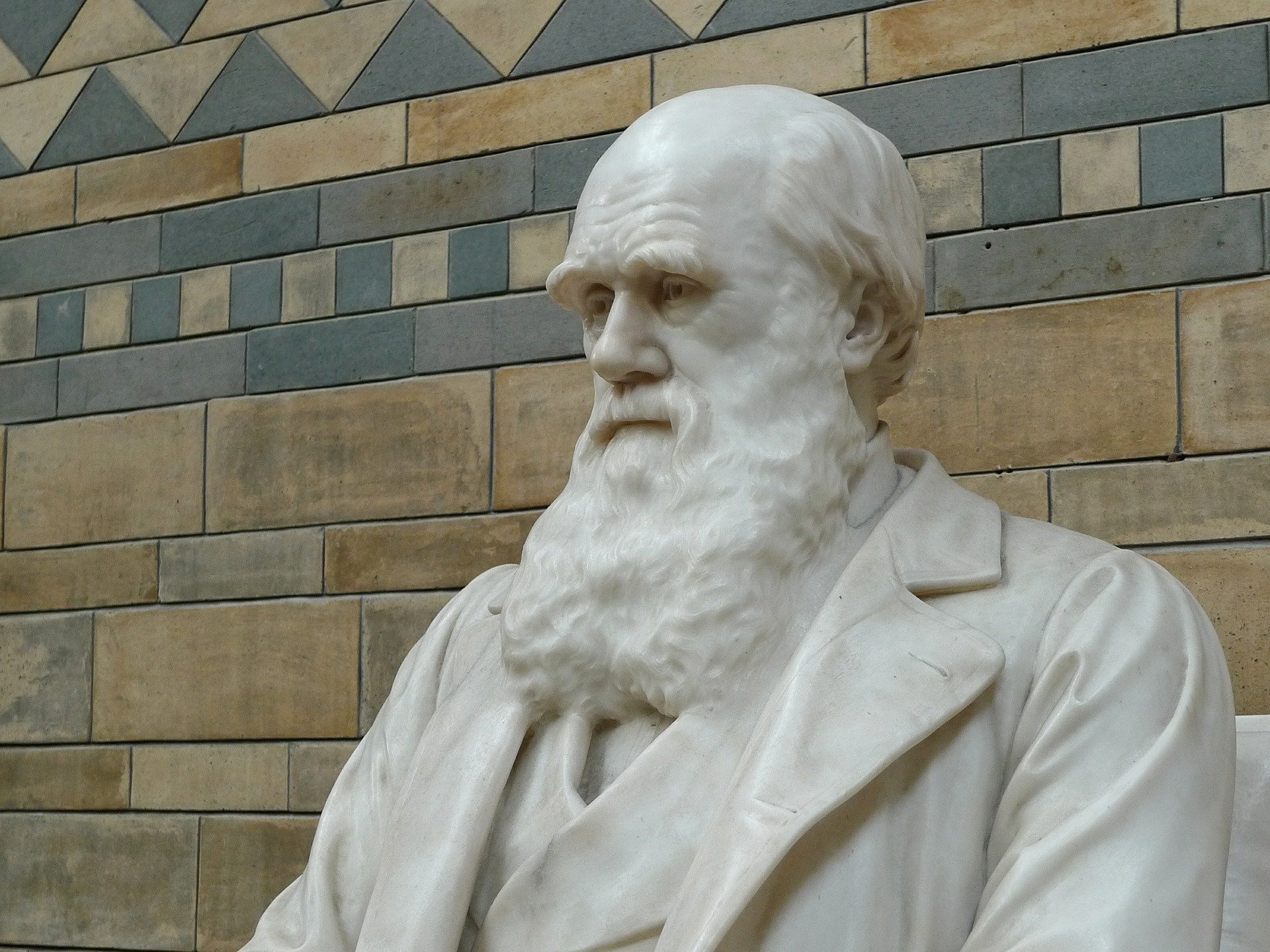 Lamarckism evolution theory gains new attention from biologists