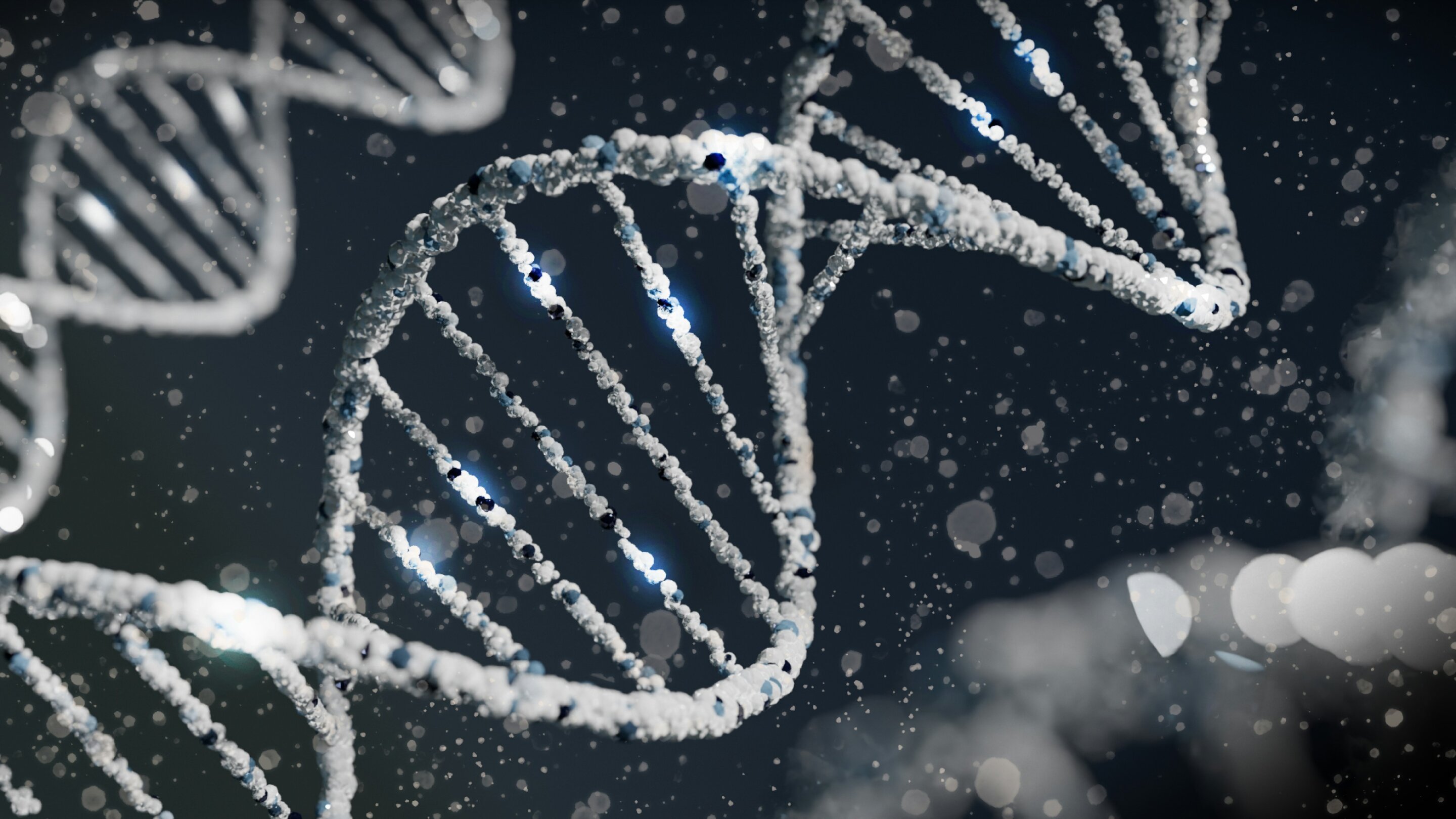 Tuberous sclerosis genetic variants identified in TSC2 study