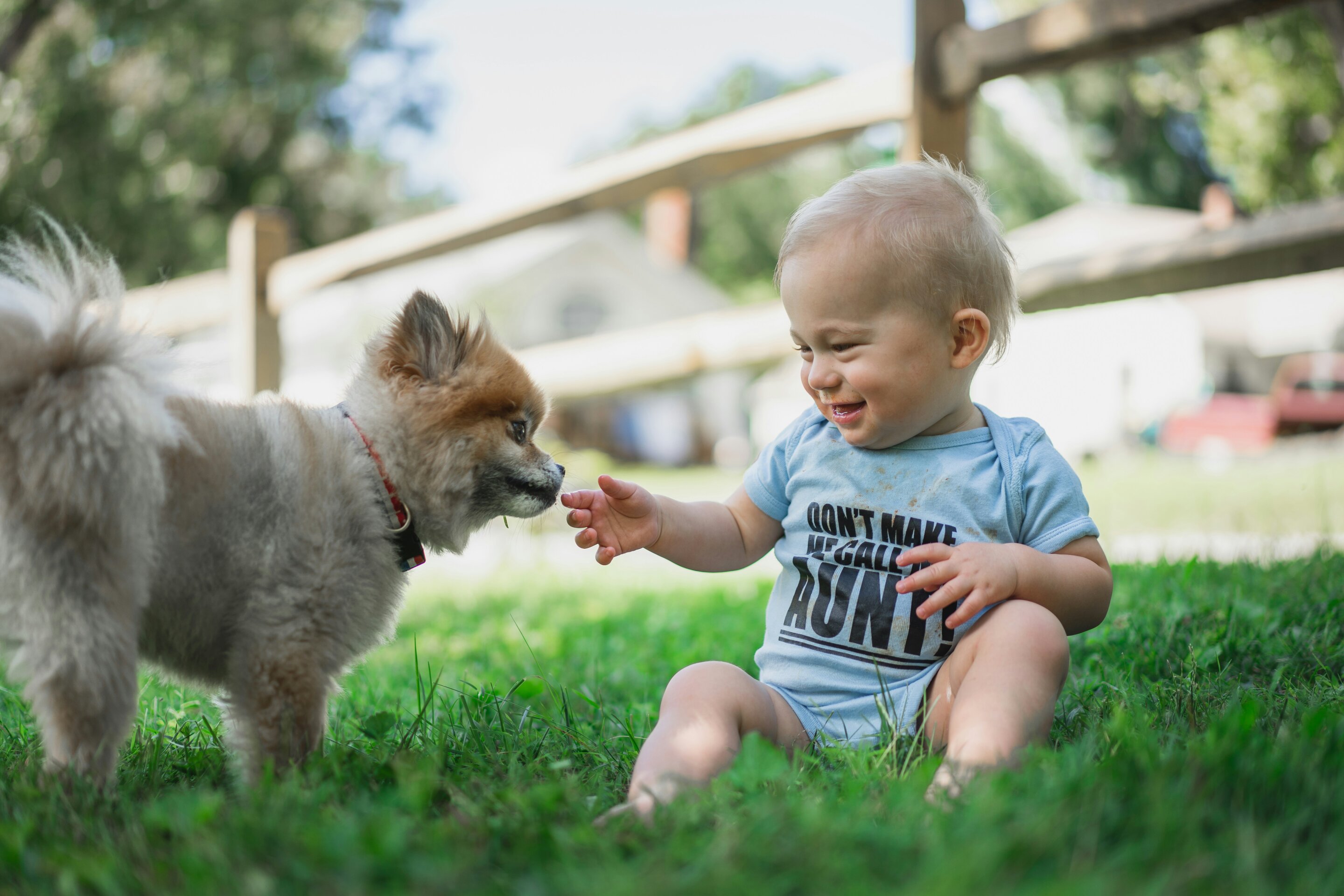 Dog-linked home microbes tied to fewer infant infections in Finnish study