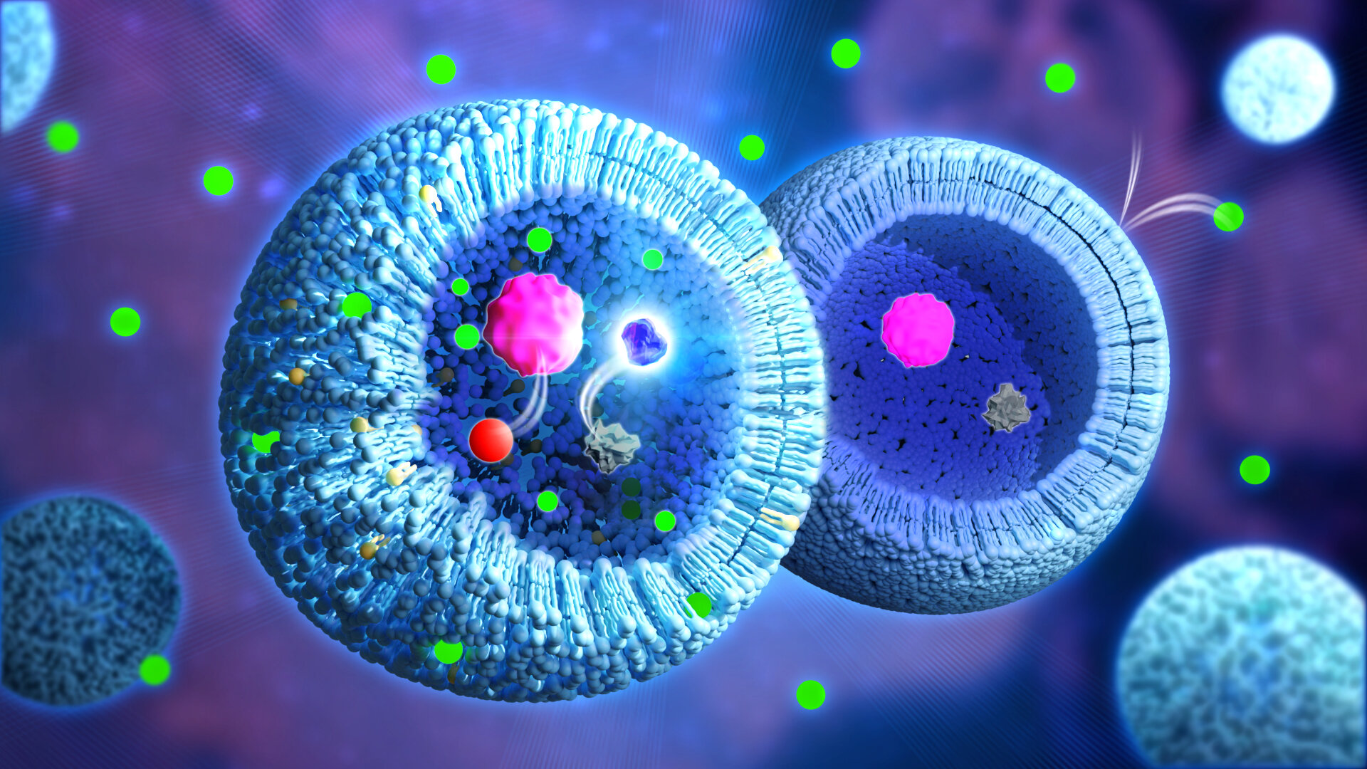 Artificial cells made more permeable for reactions and drug delivery