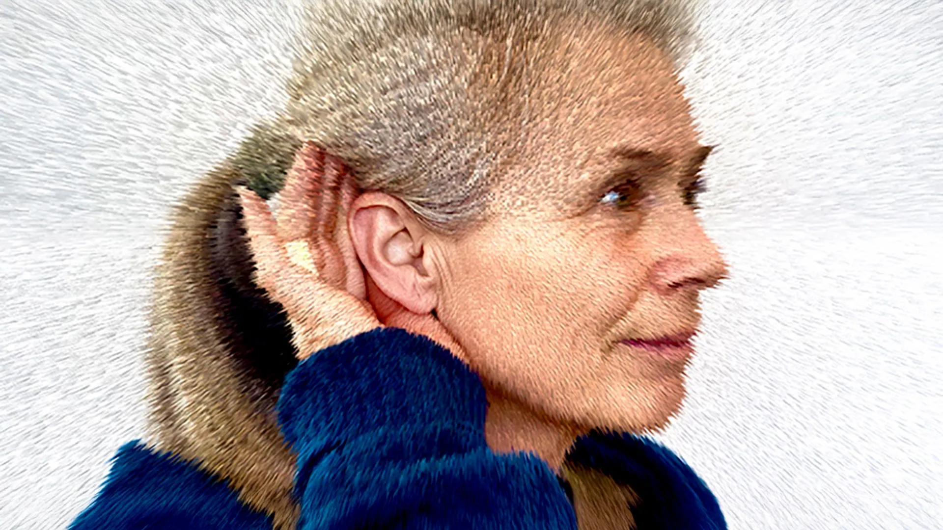 Researchers point to tinnitus in many reports of the global Hum