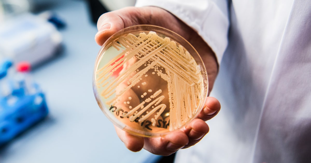 CDC reports steady rise in drug-resistant Candida auris cases