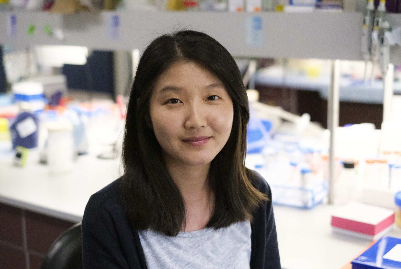 Protein-folding pathway may help protect insulin-producing cells