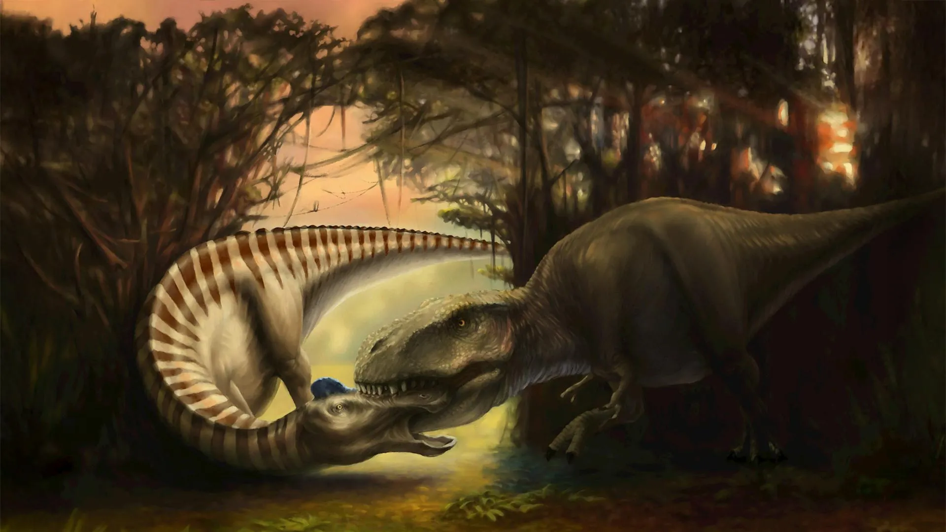 Embedded tooth links duckbill fossil to Tyrannosaurus bite