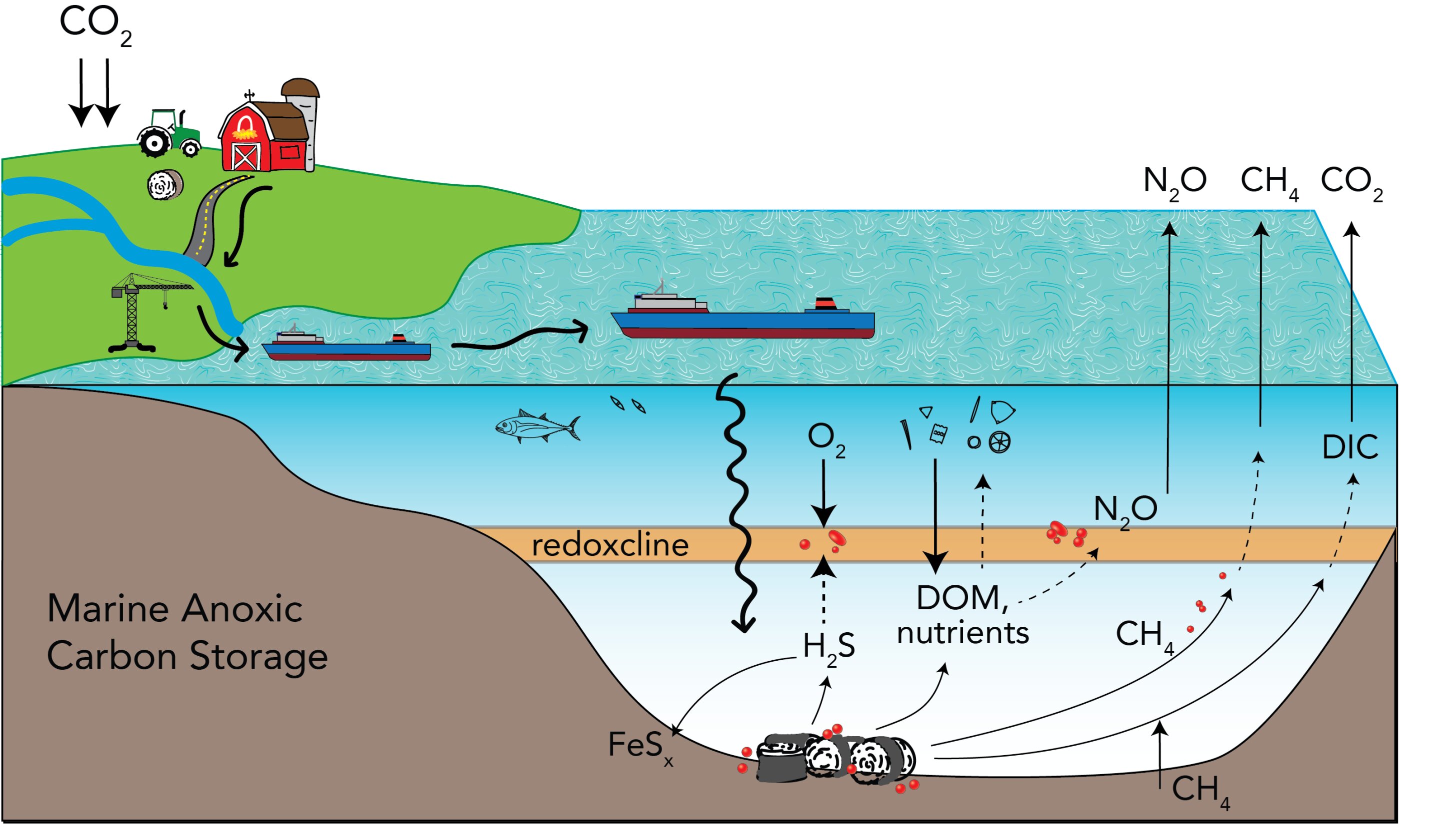 Marine anoxic carbon storage gets international research review