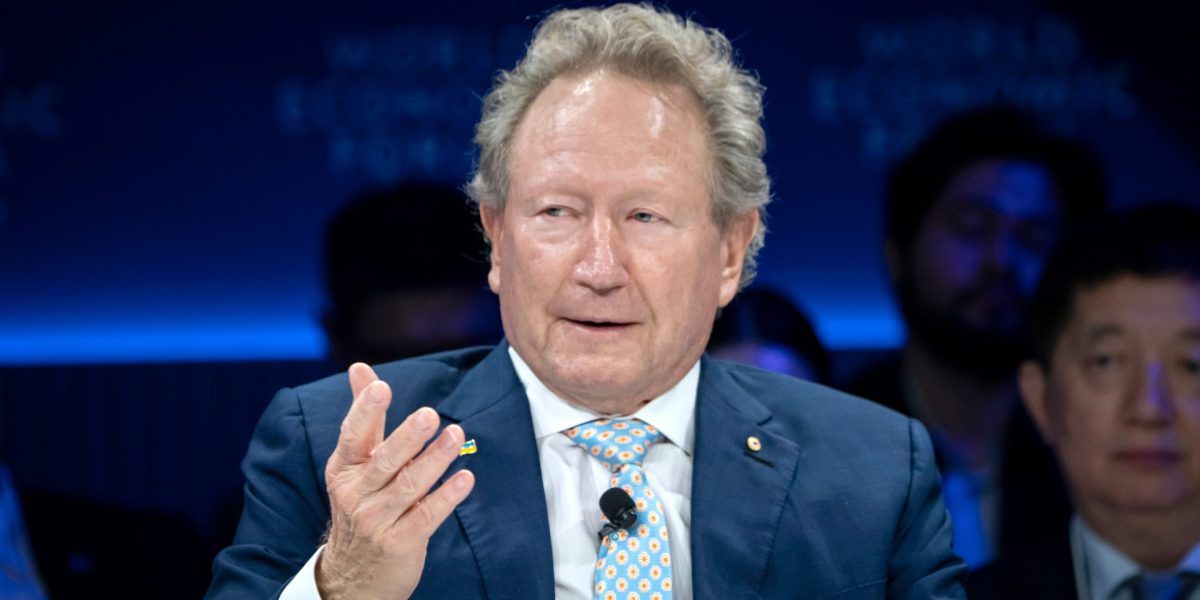 Fortescue founder says hiking accident led him to a PhD