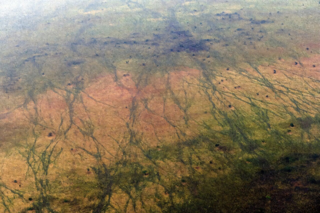 South Sudan antelope migration route added to UNESCO danger list