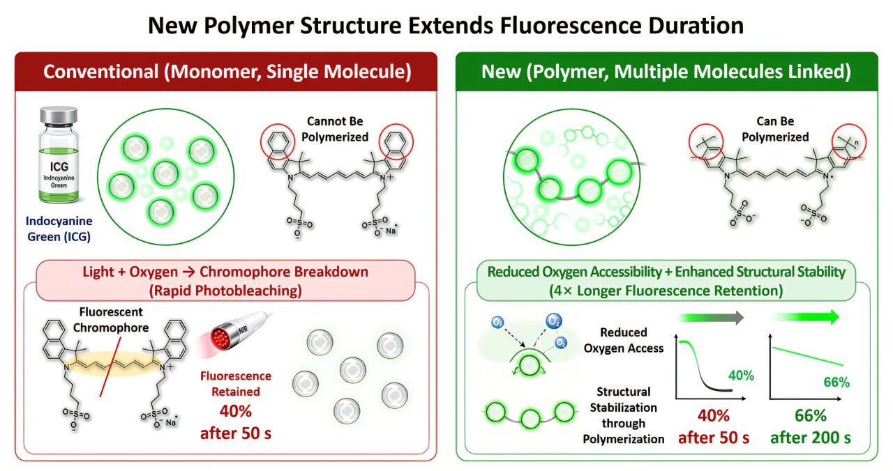 KR-NIR-P surgical imaging dye lasts longer under near-infrared light