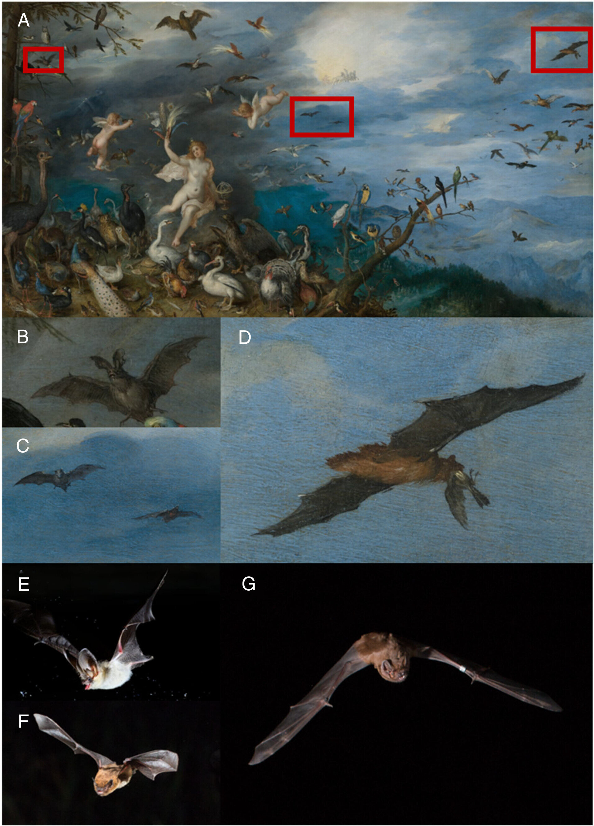 Old master painting may show Europe’s largest bat eating a bird