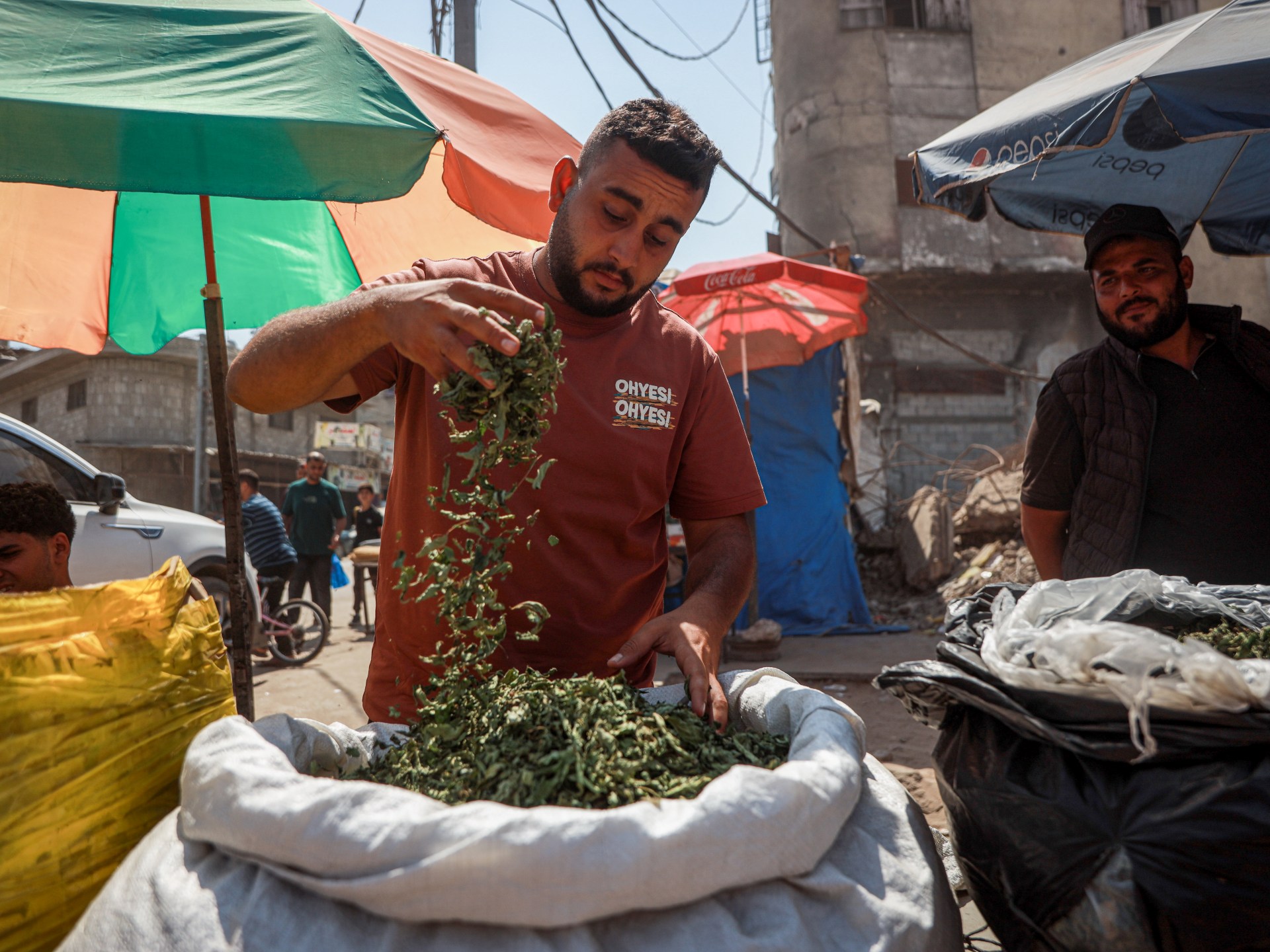 Gaza smokers turn to molokhia as tobacco shortages drive toxic trade