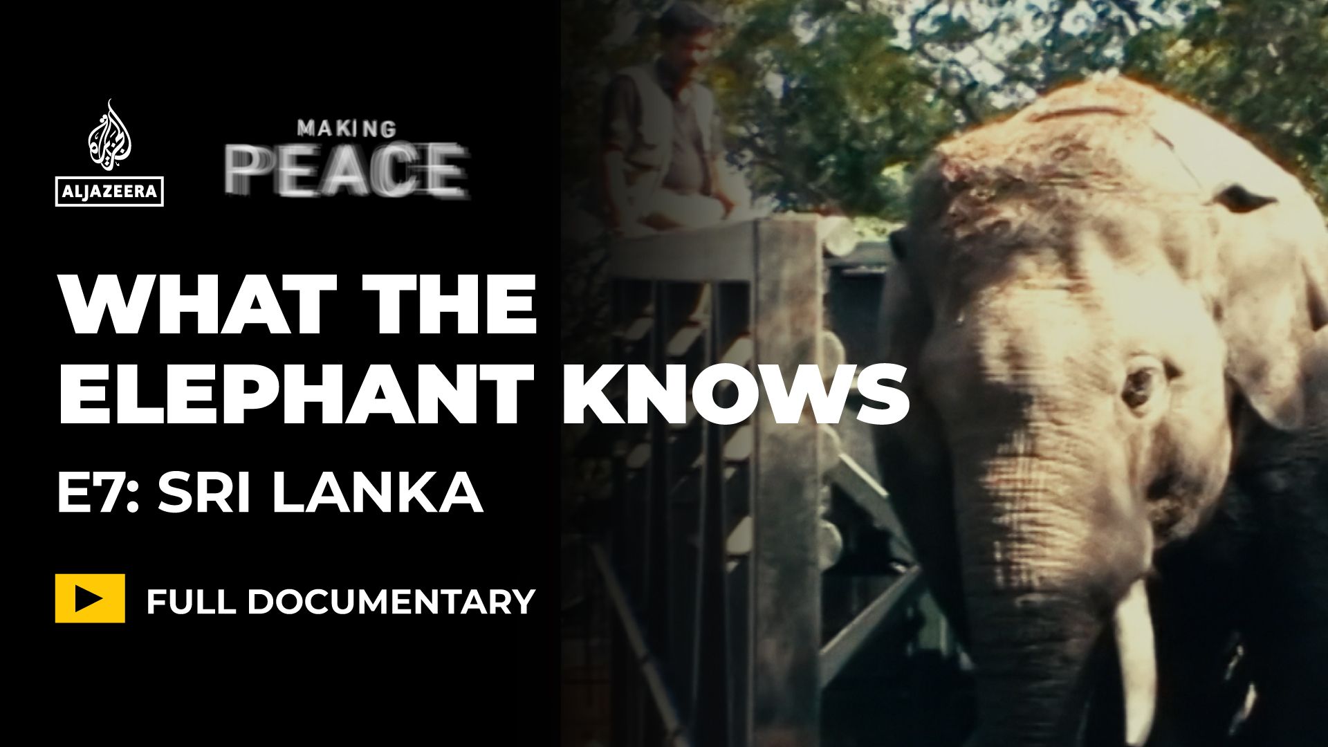 Film examines Sri Lanka’s deadly human-elephant conflict