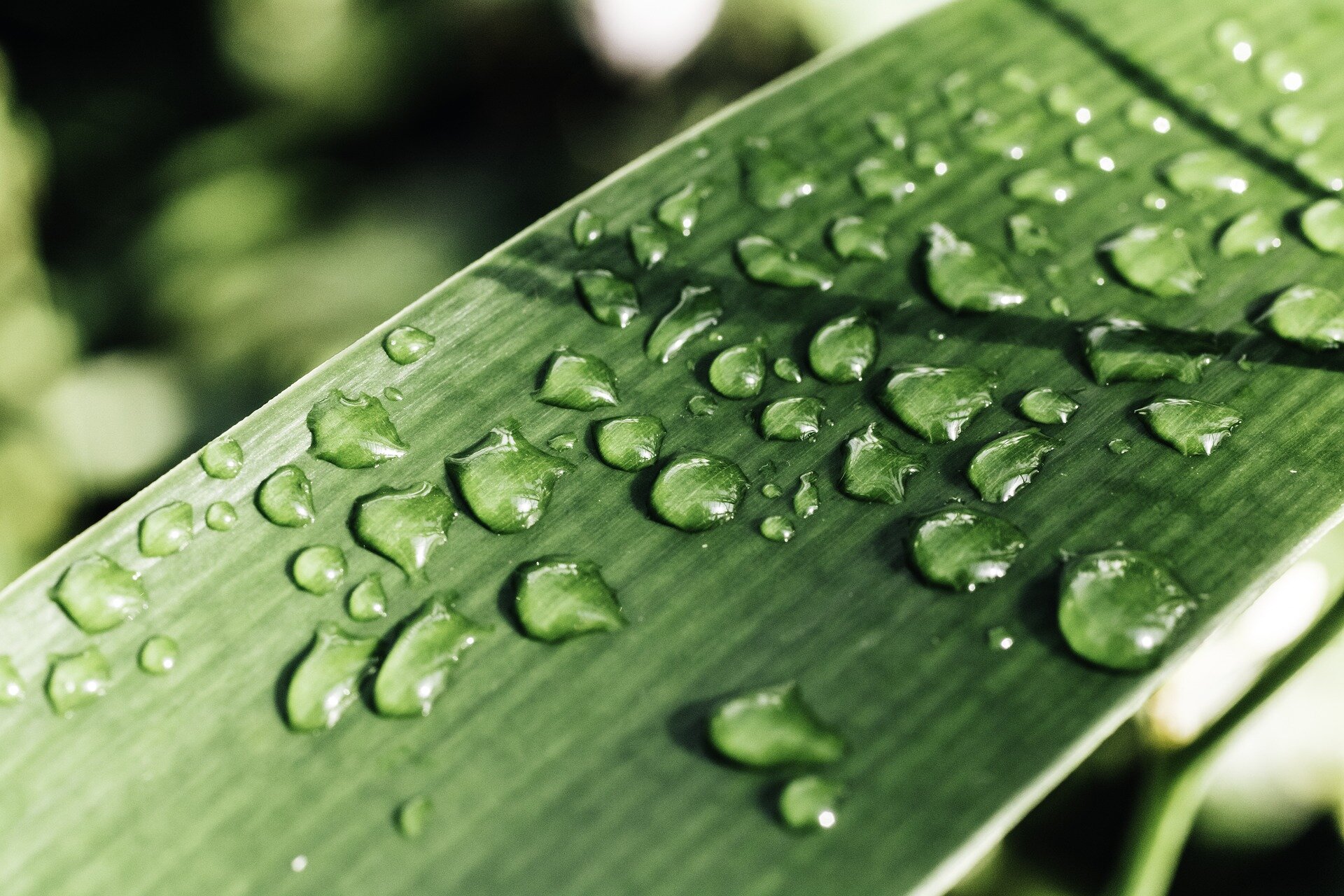 Solar storms may briefly dampen precipitation in parts of North America
