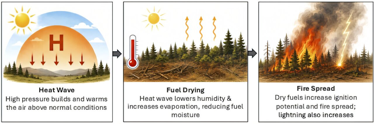 Heat waves tied to 42% of Western wildfire burn area, study finds