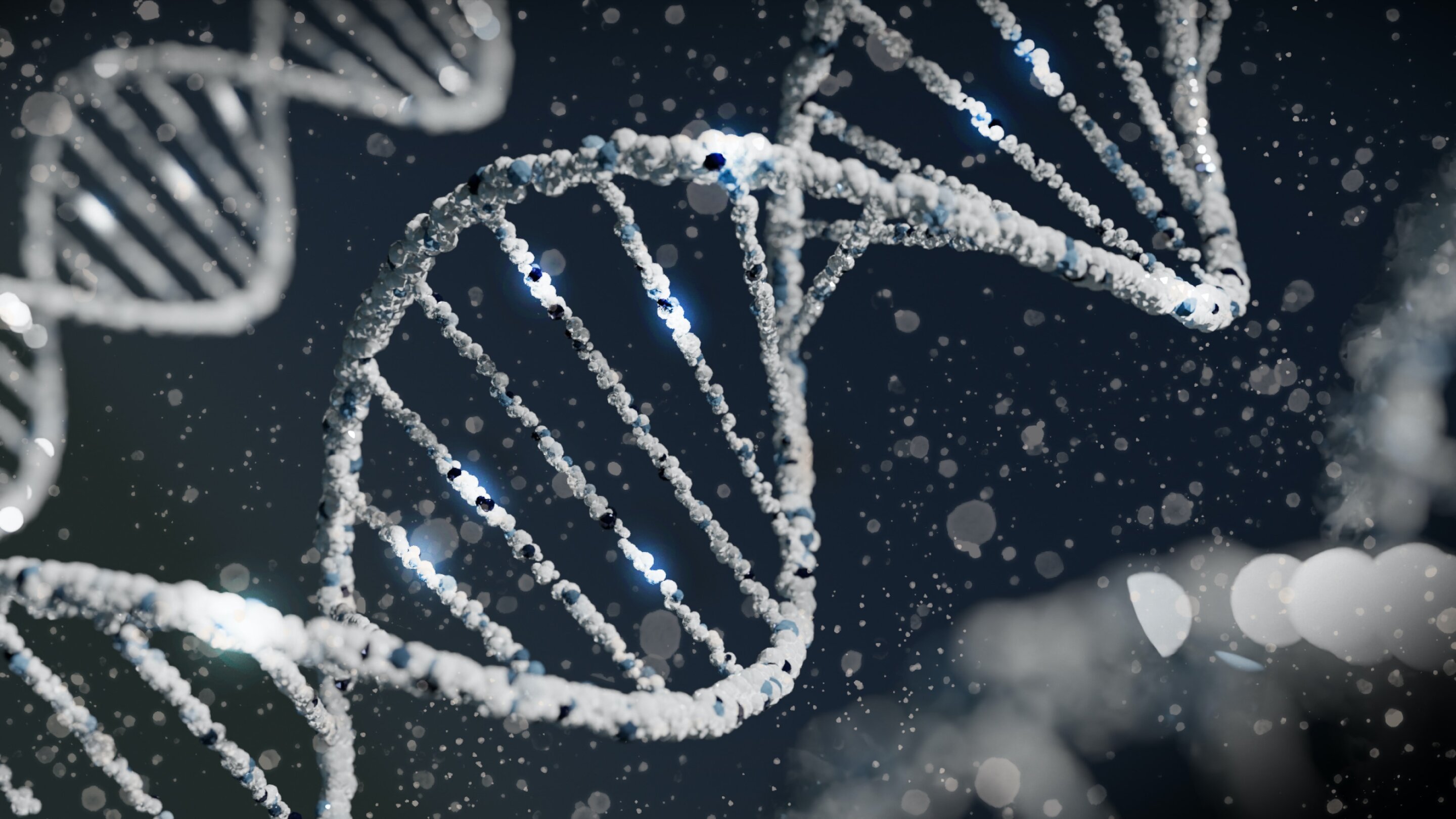 Genes and taste preferences linked to diet and metabolic risk in study