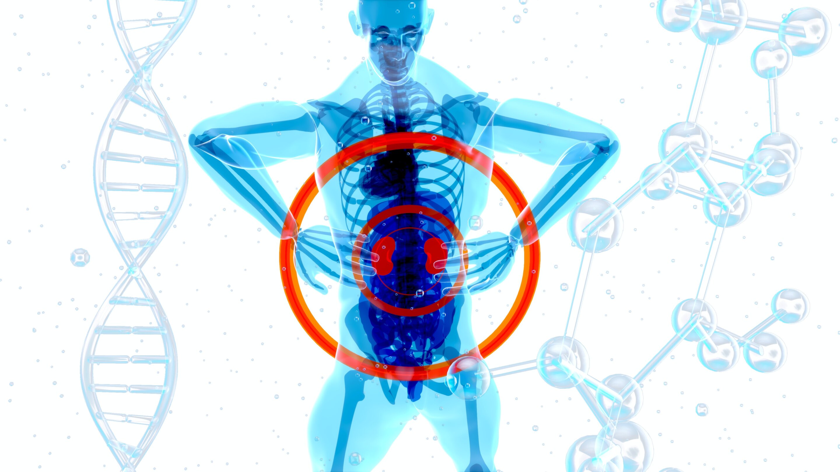 FDA clears post-surgery drug duo for higher-risk clear cell kidney cancer