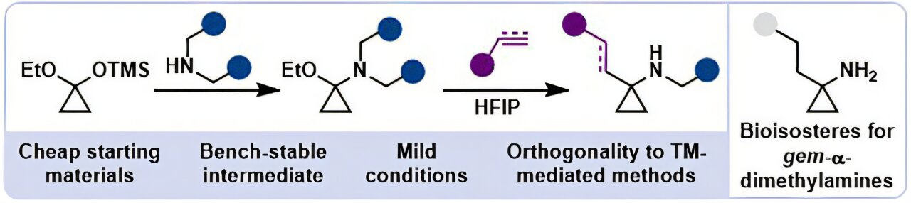 Aminocyclopropane synthesis offers a milder route for drug discovery