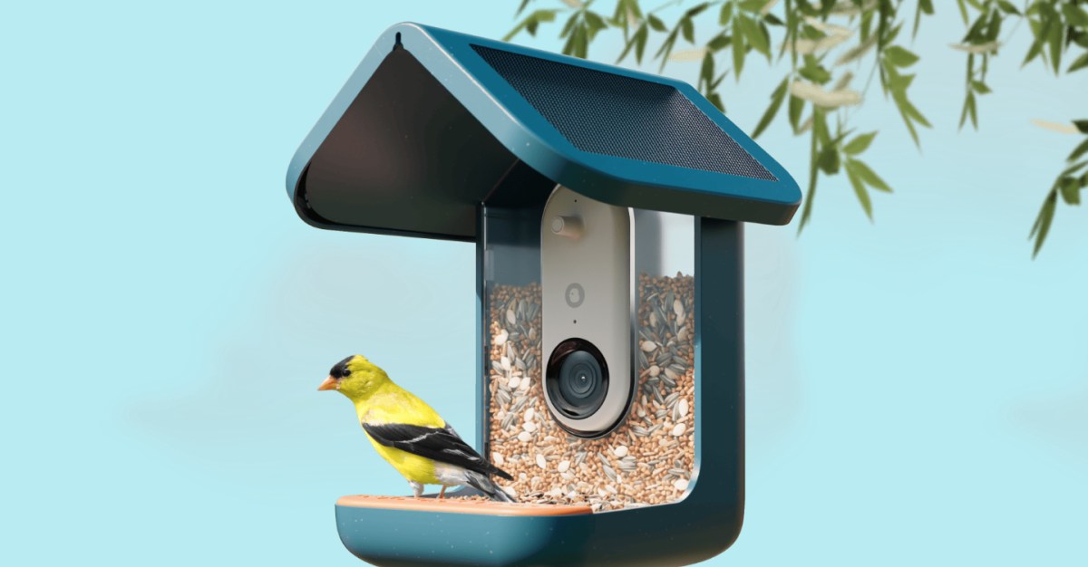 Birdbuddy Pro solar feeder drops to $168 in Prime Day sale