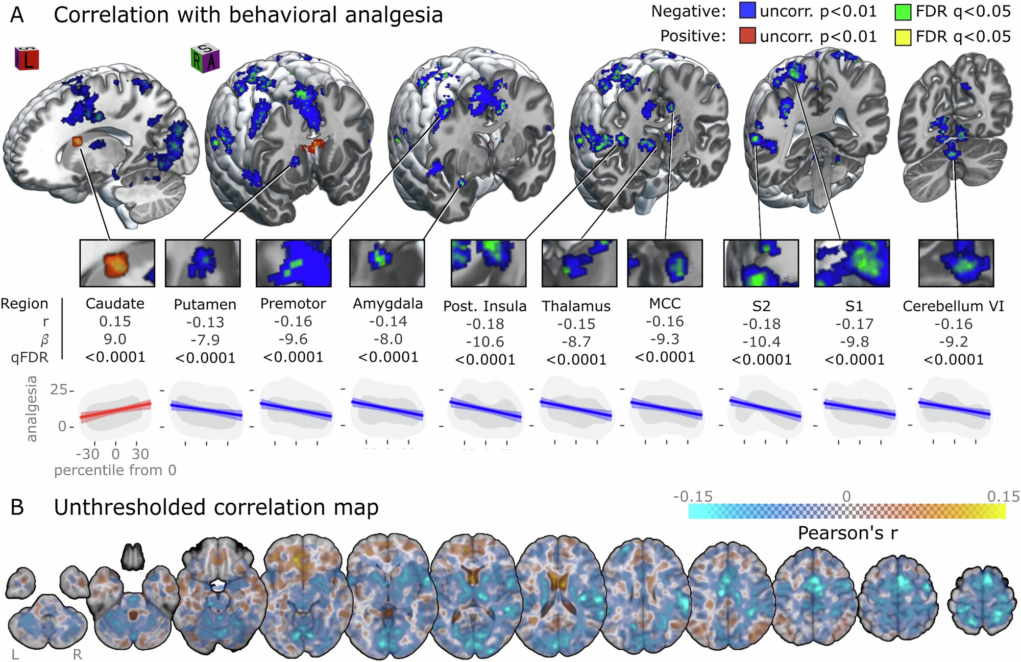 Placebo pain relief brain pathways differ by how expectations are learned