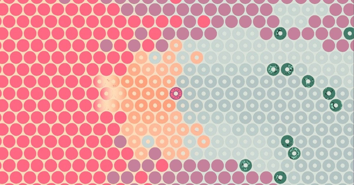 What Surrounds Us review highlights a circular puzzle adventure