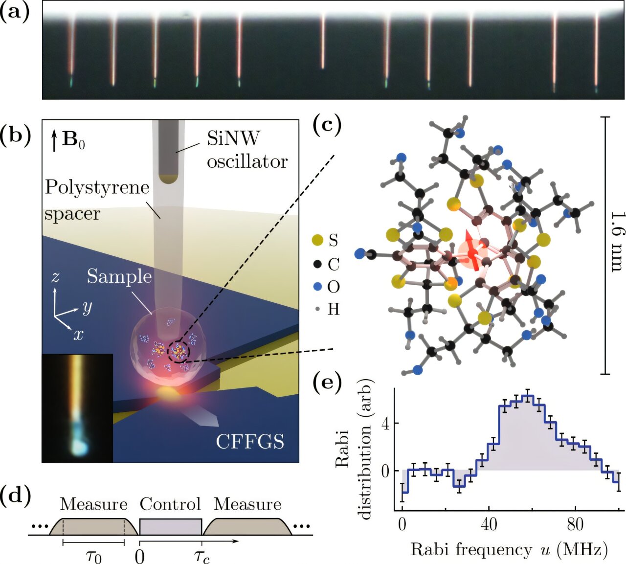 Single molecule quantum sensor could sharpen protein imaging