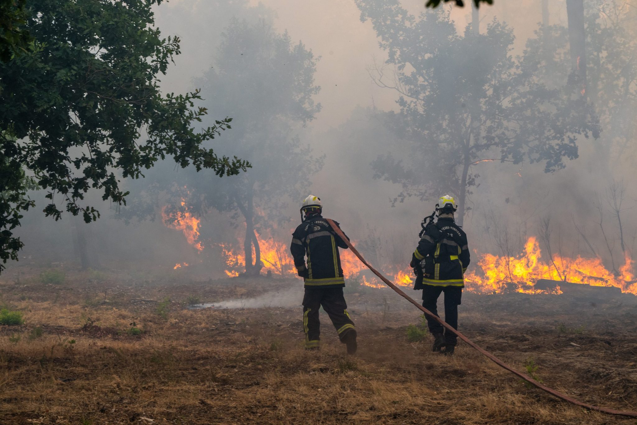 European wildfires evacuations top 250,000 as France fights Bordeaux threat