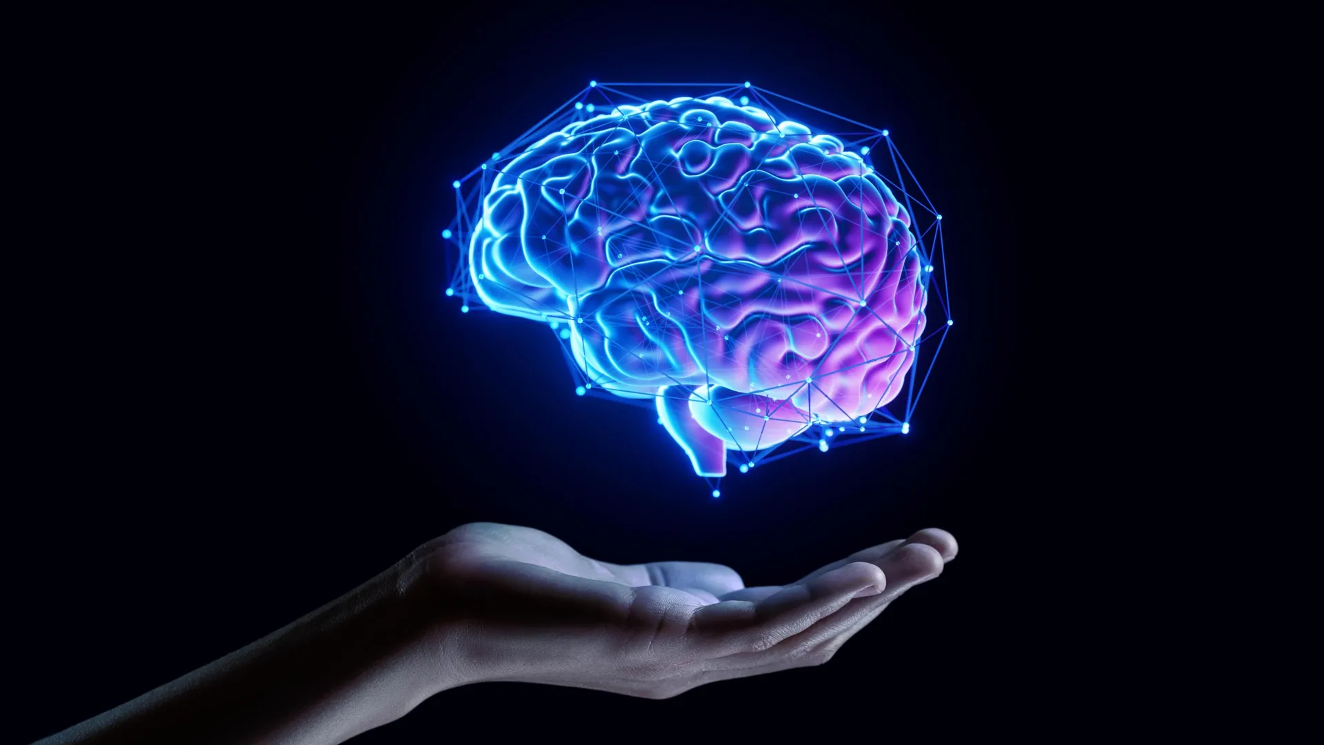 Tau protein tied to long-term memory in mouse study