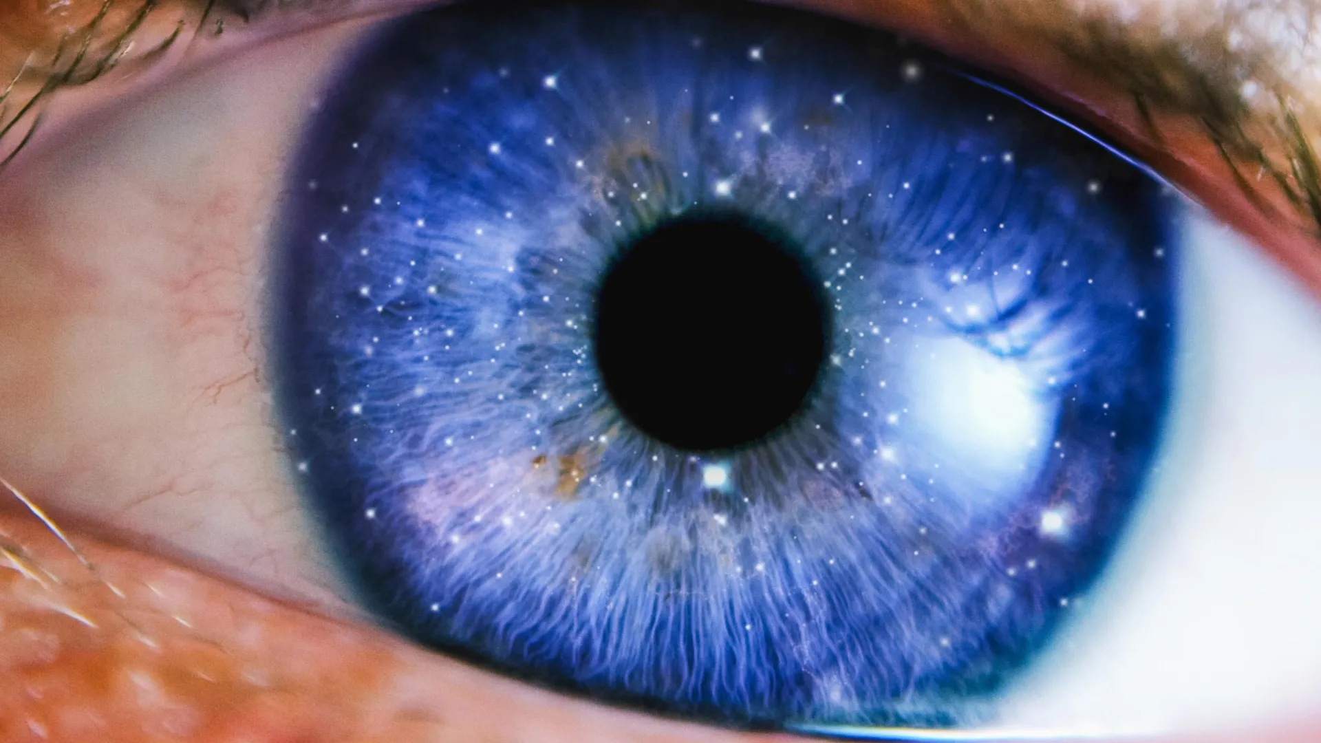 Philosophers argue consciousness may not require Earth-like biology