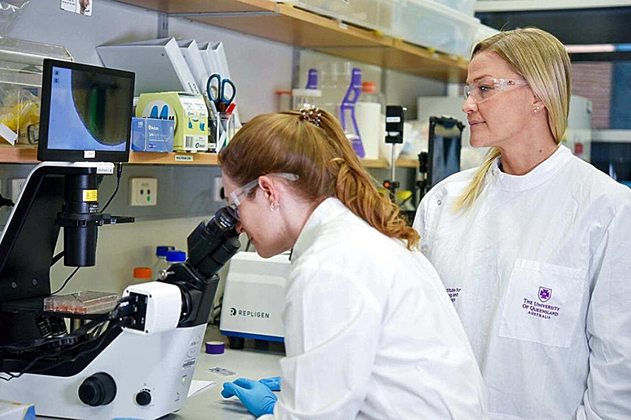 NMT1 antiviral study finds cancer-trial drug may weaken virus spread