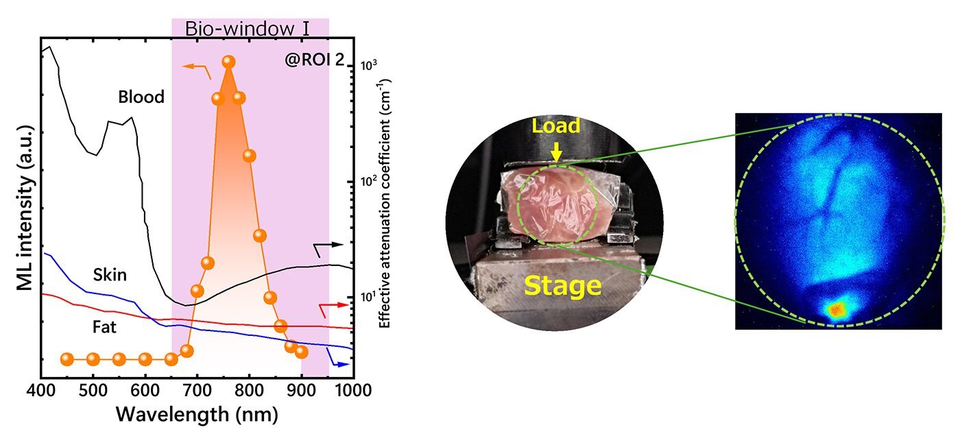 Zinc oxide material turns light touch into near-infrared emission